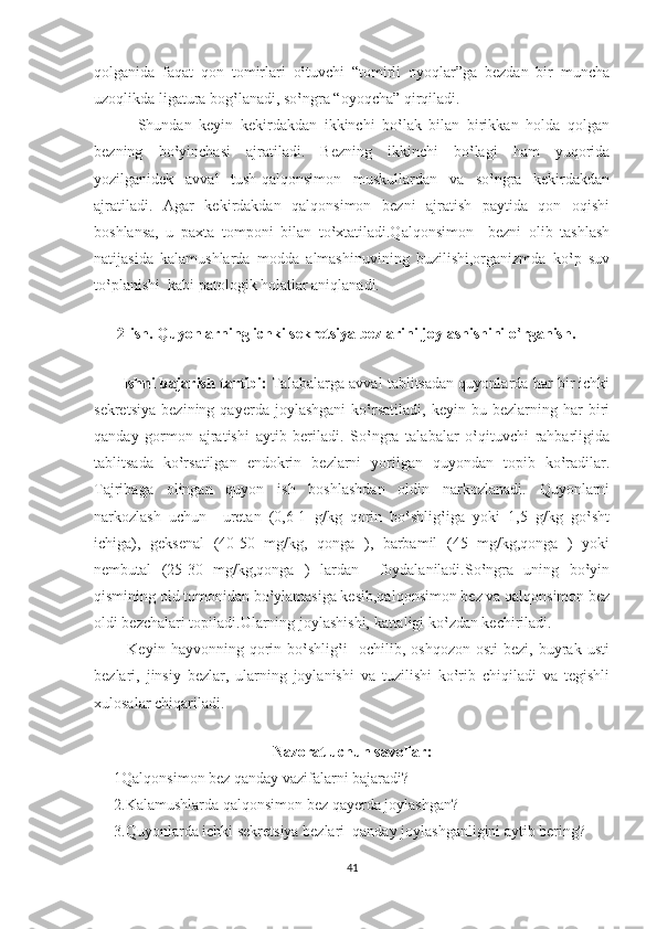 qolganida   faqat   qon   tomirlari   o‛tuvchi   “tomirli   oyoqlar”ga   bezdan   bir   muncha
uzoqlikda ligatura bog‛lanadi, so‛ngra “oyoqcha” qirqiladi.
            Shundan   keyin   kekirdakdan   ikkinchi   bo‛lak   bilan   birikkan   holda   qolgan
bezning   bo‛yinchasi   ajratiladi.   Bezning   ikkinchi   bo‛lagi   ham   yuqorida
yozilganidek   avval   tush-qalqonsimon   muskullardan   va   so‛ngra   kekirdakdan
ajratiladi.   Agar   kekirdakdan   qalqonsimon   bezni   ajratish   paytida   qon   oqishi
boshlansa,   u   paxta   tomponi   bilan   to‛xtatiladi.Qalqonsimon     bezni   olib   tashlash
natijasida   kalamushlarda   modda   almashinuvining   buzilishi,organizmda   ko‛p   suv
to‛planishi  kabi patologik holatlar aniqlanadi.
   
       2-ish. Quyonlarning ichki sekretsiya bezlarini joylashishini o‛rganish.  
      
         Ishni bajarish tartibi:  Talabalarga avval tablitsadan quyonlarda har bir ichki
sekretsiya   bezining   qayerda   joylashgani   ko‛rsatiladi,   keyin   bu   bezlarning   har   biri
qanday   gormon   ajratishi   aytib   beriladi.   So‛ngra   talabalar   o‛qituvchi   rahbarligida
tablitsada   ko‛rsatilgan   endokrin   bezlarni   yorilgan   quyondan   topib   ko‛radilar.
Tajribaga   olingan   quyon   ish   boshlashdan   oldin   narkozlanadi.   Quyonlarni
narkozlash   uchun     uretan   (0,6-1   g/kg   qorin   bo‛shlig‛iga   yoki   1,5   g/kg   go‛sht
ichiga),   geksenal   (40-50   mg/kg,   qonga   ),   barbamil   (45   mg/kg,qonga   )   yoki
nembutal   (25-30   mg/kg,qonga   )   lardan     foydalaniladi.So‛ngra   uning   bo‛yin
qismining old tomonidan bo‛ylamasiga kesib,qalqonsimon bez va qalqonsimon bez
oldi bezchalari topiladi.Ularning joylashishi, kattaligi ko‛zdan kechiriladi.
            Keyin  hayvonning   qorin  bo‛shlig‛i     ochilib,   oshqozon   osti   bezi,   buyrak   usti
bezlari,   jinsiy   bezlar,   ularning   joylanishi   va   tuzilishi   ko‛rib   chiqiladi   va   tegishli
xulosalar chiqariladi.  
          
Nazorat uchun savollar:
1Qalqonsimon bez qanday vazifalarni bajaradi?
2.Kalamushlarda qalqonsimon bez qayerda joylashgan?
3.Quyonlarda ichki sekretsiya bezlari  qanday joylashganligini aytib bering?
41 