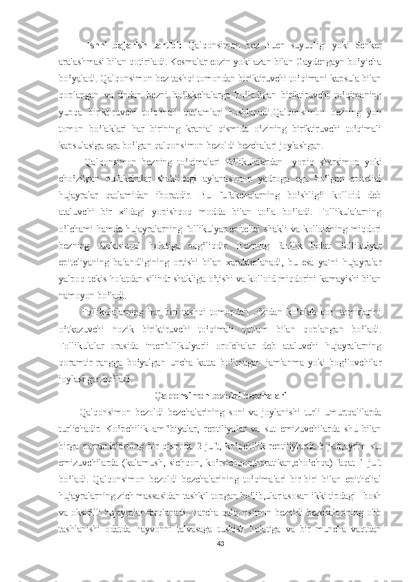           Ishni   bajarish   tartibi:   Qalqonsimon   bez   Buen   suyuqligi   yoki   Senker
aralashmasi bilan qotiriladi. Kesmalar eozin yoki azan bilan Gaydengayn bo‛yicha
bo‛yaladi. Qalqonsimon bez tashqi tomondan biriktiruvchi to‛qimani kapsula bilan
qoplangan   va   undan   bezni   bo‛lakchalarga   bo‛ladigan   biriktiruvchi   to‛qimaning
yupqa   biriktiruvchi   to‛qimali   qatlamlari   boshlanadi.Qalqonsimon   bezning   yon
tomon   bo‛laklari   har   birining   kranial   qismida   o‛zining   biriktiruvchi   to‛qimali
kapsulasiga ega bo‛lgan qalqonsimon bezoldi bezchalari joylashgan. 
          Qalqonsimon   bezning   to‛qimalari   follikulalardan   –yopiq   sharsimon   yoki
cho‛zilgan   pufakchalar   shaklidagi   aylanasimon   yadroga   ega   bo‛lgan   epitelial
hujayralar   qatlamidan   iboratdir.   Bu   fufakchalarning   bo‛shlig‛i   kolloid   deb
ataluvchi   bir   xildagi   yopishqoq   modda   bilan   to‛la   bo‛ladi.   Follikulalarning
o‛lchami  hamda  hujayralarning follikulyar  epitelial  shakli  va kolloidning miqdori
bezning   funktsional   holatiga   bog‛liqdir.   Bezning   faollik   holati   follikulyar
epiteliyaning   balandligining   ortishi   bilan   xarakterlanadi,   bu   esa   ya`ni   hujayralar
yalpoq-tekis holatdan silindr shakliga o‛tishi va kolloid miqdorini kamayishi bilan
namoyon bo‛ladi.
          Follikulalarning   har   biri   tashqi   tomondan   o‛zidan   ko‛plab   qon   tomirlarini
o‛tkazuvchi   nozik   biriktiruvchi   to‛qimali   qatlam   bilan   qoplangan   bo‛ladi.
Follikulalar   orasida   interfollikulyarli   orolchalar   deb   ataluvchi   hujayralarning
qoramtir   rangga   bo‛yalgan   uncha   katta   bo‛lmagan   jamlanma   yoki   bog‛lovchilar
joylashgan bo‛ladi.
Qalqonsimon bezoldi bezchalari
          Qalqonsimon   bezoldi   bezchalarining   soni   va   joylanishi   turli   umurtqalilarda
turlichadir.   Ko‛pchilik   amfibiyalar,   reptiliyalar   va   sut   emizuvchilarda   shu   bilan
birga   parrandalarning   bir   qismida   2   juft,   ko‛pchilik   reptiliylarda-3   juft,ayrim   sut
emizuvchilarda   (kalamush,   sichqon,   ko‛rsichqon,tipratikan,cho‛chqa)-faqat   1   juft
bo‛ladi.   Qalqonsimon   bezoldi   bezchalarining   to‛qimalari   bir-biri   bilan   epithelial
hujayralarning zich massasidan tashkil topgan bo‛lib,ular asosan ikki tipdagi –bosh
va oksifilli hujayralar farqlanadi. Barcha qalqonsimon bezoldi bezchalarining olib
tashlanishi   odatda   hayvonni   talvasaga   tushish   holatiga   va   bir   muncha   vaqtdan
43 