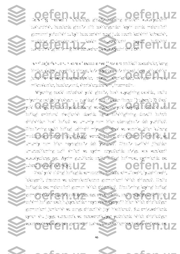 Darsning   maqsadi:   Talabalarga   gipofiz   bezining   endokrin   xususiyatlarini
tushuntirish,   baqalarda   gipofiz   olib   tashlangandan   keyin   qonda   melanoforli
gormonni yo‛qolishi tufayli baqa terisini rangi juda oqarib ketishini ko‛rsatish,
moddalar   almashinuvini   keskin   buzilishlarini   paydo   bo‛lishini
tushuntirish,gipofizning boshqaruvchanlik xususiyatini aniqlash. 
Ishni bajarish uchun kerakli asboblar va jihozlar:  probkali taxtachalar, keng
bintlar, skalpel, qaychilar, pintset, ko‛z qaychisi, ko‛z pintseti, igna ushlagichlar
jarrohlik   ignasi,ignatugmalar,iplar,   paxtali   sharikchalar,   Ringer   eritmasi,
mikroskoplar, baqalar,zond, shpritslar,adrenalin, intermedin.
        Miyaning   pastki   ortiqchasi   yoki   gipofiz,   bosh   suyagining   asosida,   oraliq
miyaning ostida joylashgan. U quyidagi 4 ta bo‛lakdan iborat: 1) tuberal; 2) distal
yoki   oldingi;   3)   oraliq   yoki   o‛rtangi   va   4)asabli,   yoki   keyingi.   Dastlabki   uch
bo‛lagi   embrional   rivojlanish   davrida   og‛iz   bo‛shlig‛ining   dorzalli   bo‛rtib
chiqishidan   hosil   bo‛ladi   va   umumiy   nom   bilan   adenogipofiz   deb   yuritiladi.
Gipofizning   asabli   bo‛lagi   uchinchi   miya   qorinchasi   va   voronka   bilan   kulrang
moddaning   o‛rtanchi   balandlikdagi   ventral   bo‛rtib   chiqishidan   hosil   bo‛ladi   va
umumiy   nom   bilan   neyrogipofiz   deb   yuritiladi.   Gipofiz   tuzilishi   jihatidan
umurtqalilarning   turli   sinflari   va   ayrim   otryadlarida   o‛ziga   xos   xarakterli
xususiyatlarga   ega.   Ayrim   guruhlarda   oraliq   bo‛lagi   bo‛lmasa,   ayrimlarida   esa
tuberalli bo‛lagi bo‛lmaydi. 
      Distal yoki oldingi bo‛lagida samototrop, follikula stimullovchi, lyuteinlovchi,
laktogenli,   tireotrop   va   adrenokortikotrop   gormonlarni   ishlab   chiqaradi.   Oraliq
bo‛lagida   esa   melanoforli   gormon   ishlab   chiqariladi.   Gipofizning   keyingi   bo‛lagi
gormon ishlab chiqarish qobiliyatiga ega emas, odatda, oraliq miya yadrolari bilan
qo‛shni bo‛lgan asab hujayralaridan neyrosekretsiya yo‛li bilan ishlab chiqiladigan
gormonlarni   jamlanish   va   qonga   chiqarilish   joyi   hisoblanadi.   Sut   emizuvchilarda
aynan   shu   joyga   supraoptik   va   paraventrikulyar   yadrolarda   ishlab   chiqiladigan
vasopressin va oksitotsin gormonlari tushsa, umurtqalilarning boshqa sinflarida esa
46 