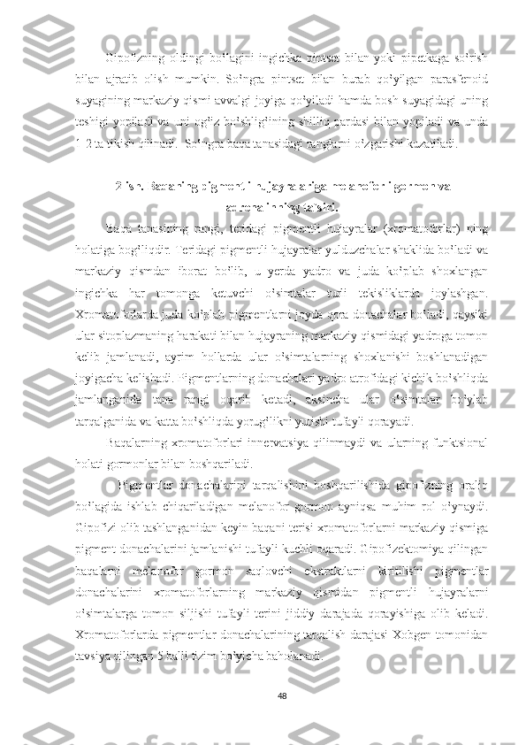             Gipofizning   oldingi   bo‛lagini   ingichka   pintset   bilan   yoki   pipetkaga   so‛rish
bilan   ajratib   olish   mumkin.   So‛ngra   pintset   bilan   burab   qo‛yilgan   parasfenoid
suyagining markaziy qismi avvalgi joyiga qo‛yiladi hamda bosh suyagidagi uning
teshigi   yopiladi   va   uni   og‛iz  bo‛shlig‛ining  shilliq   pardasi   bilan  yopiladi   va  unda
1-2 ta tikish qilinadi.  So‛ngra baqa tanasidagi ranglarni o‛zgarishi kuzatiladi.
 2-ish. Baqaning pigmentli hujayralariga melanoforli gormon va
adrenalinning ta`siri.
          Baqa   tanasining   rangi,   teridagi   pigmentli   hujayralar   (xromatoforlar)   ning
holatiga bog‛liqdir. Teridagi pigmentli hujayralar yulduzchalar shaklida bo‛ladi va
markaziy   qismdan   iborat   bo‛lib,   u   yerda   yadro   va   juda   ko‛plab   shoxlangan
ingichka   har   tomonga   ketuvchi   o‛simtalar   turli   tekisliklarda   joylashgan.
Xromatoforlarda juda ko‛plab pigmentlarni joyda qora donachalar bo‛ladi, qaysiki
ular sitoplazmaning harakati bilan hujayraning markaziy qismidagi yadroga tomon
kelib   jamlanadi,   ayrim   hollarda   ular   o‛simtalarning   shoxlanishi   boshlanadigan
joyigacha kelishadi. Pigmentlarning donachalari yadro atrofidagi kichik bo‛shliqda
jamlanganida   tana   rangi   oqarib   ketadi,   aksincha   ular   o‛simtalar   bo‛ylab
tarqalganida va katta bo‛shliqda yorug‛likni yutishi tufayli qorayadi.
              Baqalarning   xromatoforlari   innervatsiya   qilinmaydi   va   ularning   funktsional
holati gormonlar bilan boshqariladi. 
              Pigmentlar   donachalarini   tarqalishini   boshqarilishida   gipofizning   oraliq
bo‛lagida   ishlab   chiqariladigan   melanofor   gormon   ayniqsa   muhim   rol   o‛ynaydi.
Gipofizi olib tashlanganidan keyin baqani terisi xromatoforlarni markaziy qismiga
pigment donachalarini jamlanishi tufayli kuchli oqaradi. Gipofizektomiya qilingan
baqalarni   melanofor   gormon   saqlovchi   ekstraktlarni   kiritilishi   pigmentlar
donachalarini   xromatoforlarning   markaziy   qismidan   pigmentli   hujayralarni
o‛simtalarga   tomon   siljishi   tufayli   terini   jiddiy   darajada   qorayishiga   olib   keladi.
Xromatoforlarda pigmentlar donachalarining tarqalish darajasi Xobgen tomonidan
tavsiya qilingan 5 balli tizim bo‛yicha baholanadi.
48 