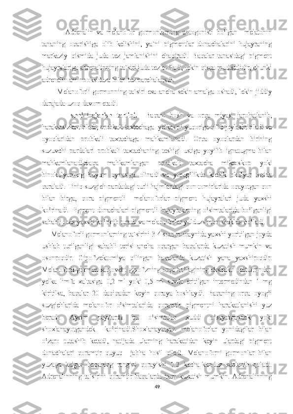               Adrenalin   va   melanofor   gormonlarning   antogonisti   bo‛lgan   –melatonin
tananing   oqarishiga   olib   kelishini,   ya`ni   pigmentlar   donachalarini   hujayraning
markaziy   qismida   juda   tez   jamlanishini   chaqiradi.   Baqalar   tanasidagi   pigment
hujayralariga adrenalinning ta`siri juda tez bo‛ladi, lekin qisqa muddatlidir, chunki
adrenalin aminooksidaza bilan tez parchalanadi. 
            Melanoforli   gormonning   ta`siri   esa   ancha   sekin   amalga   oshadi,   lekin   jiddiy
darajada uzoq davom etadi.
            Ishni   bajarish   tartibi.     Baqani   bosh   va   orqa   miyasi   jarohatlanib,
harakatsizlantiriladi, probkali taxtachaga  yelkasini yuqoriga qilib joylashtiriladi va
oyoqlaridan   probkali   taxtachaga   mahkamlanadi.   Orqa   oyoqlardan   birining
suzuvchi   pardalari   probkali   taxtachaning   teshigi   ustiga   yoyilib   ignatugma   bilan
mahkamlanadi.Baqa   mahkamlangan   probkali   taxtacha   mikroskop   yoki
binokulyarning   buyum   oynasiga   olinadi   va   yorug‛likda   kichik   okulyar   ostida
qaraladi. Tiniq suzgich pardadagi turli hajmlardagi qon tomirlarida oqayotgan qon
bilan   birga,   qora   pigmentli   –melanoforlar   pigment   hujayralari   juda   yaxshi
ko‛rinadi.  Pigment   donachalari   pigmentli   hujayralarning  o‛simtalarida   bo‛lganligi
sababli juda yaxshi ko‛rinib turadi va melanoforlar yulduzsimon shaklda bo‛ladi.
     Melanoforli gormonlarning ta`sirini 3-4 soat mobaynida yaxshi yoritilgan joyda
ushlab   turilganligi   sababli   terisi   ancha   oqargan   baqalarda   kuzatish   mumkin   va
osonroqdir.   Gipofizektomiya   qilingan   baqalarda   kuzatish   yana   yaxshiroqdir.
Melanoforli gormon saqlovchi gipofizning orqa bo‛lagining ekstrakti –pituitrindan
yelka   limfa   xaltasiga   0,2   ml   yoki   0,5   ml   suvda   eritilgan   intermedindan   1   mg
kiritilsa,   baqalar   20   daqiqadan   keyin   qoraya   boshlaydi.   Baqaning   orqa   oyog‛i
suzgichlarida   melanofor   o‛simtalarida   qoramtir   pigmentni   harakatlanishi   yuz
beradi.   Ayrim   paytlarda   bu   o‛simtalar   xuddi   o‛sayotgandek   yoki
shoxlanayotgandek     ko‛rinadi.Shoxlanayotgan   melanoforlar   yonidagilar   bilan
o‛zaro   tutashib   ketadi,   natijada   ularning   harakatidan   keyin   ulardagi   pigment
donachalari   qoramtir   quyuq     jabha   hosil   qiladi.   Melanoforni   gormonlar   bilan
yuzaga   kelgan   baqaning   rangini   qorayishi   1-2   kecha-kunduz   saqlanib   qoladi.
Adrenalinning   ta`sirini   qoramtir   baqalarda   ham   kuzatish   mumkin.   Adrenalinning
49 