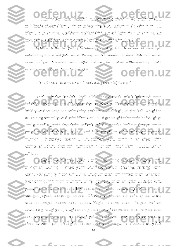               Sutemizuvchilarda   estradiol   bachadonning   o‛sishini   va   endometriyada
proliferativ   o‛zgarishlarni,   qin   epiteliyasining   yuza   qatlamini   shoxsimon   modda
bilan   qoplanishini   va   kuyikishni   boshlanishini,   sut   yo‛llarini   rivojlanishini   va   sut
bezlarining sut chiqaruvchi tizimning barcha yo‛llarini stimullaydi.
       Progestron endometriyaning sekretorligini o‛zgarishini chaqiradi va otalangan
tuxumning  implantatsiyasi   uchun   va   bug‛ozlik   muddatini   mutadil   kechishi   uchun
zarur   bo‛lgan   sharoitni   ta`minlaydi   hamda   sut   bezlari-alveolalarining   bezli
to‛qimalarini rivojlanishini stimullaydi.         
1-ish. Erkak  kalamushlarni kastratsiyalash tajribalari
Ishni   bajarish   tartibi:   Engil   efirli   narkoz   ostida   erkak   kalamush   qorin
bo‛shlig‛i   yuqoriga   qaratilib   operatsiya   stolchasiga   fiksatsiya   qilinadi.   Sonning
ichki   yuzasi   va  urug‛don   xaltasining   peshona   hududidagi   jun  qirqiladi.   Urug‛don
xaltasining ventral yuzasi spirt bilan surtiladi. Agar urug‛donlar qorin bo‛shlig‛iga
tortilgan bo‛lsa, qorin devorlarini ko‛krak qafasi tomondan lonli tutashmaga tomon
yengil   massaj   qilish   yo‛li   bilan   ularni   juda   yengil   urug‛don   xaltasiga   qaytarish
mumkin.   Operatsiya   davomida   urug‛donlar   yana   qorin   bo‛shlig‛iga   o‛tib
ketmasligi   uchun,   chap   qo‛l   barmoqlari   bilan   teri   orqali   ularni   xaltada   ushlab
turiladi.
  Urug‛don   xaltasining   terisi   tortiladi   va   uning   kaudal   qismining   o‛rta
chizig‛idan   uzunligi   1   sm.ga   yaqin   uzunlikda   kesiladi.   (rasmga   qarang) .Terini
kesib,   kesilgan   joy   biroz   suriladi   va   urug‛donlardan   biri   pintset   bilan   ushlanadi.
Skalpelning   bir   tomoni   bilan   teri,   uning   qin   po‛stloqlaridan   ajratiladi.Agar   xalta
yuqori   tomonidan   barmoq   bilan   bosilsa,   uni   o‛rab   turuvchi   po‛stloqlar   bilan
kesilgan   joydan   tashqariga   chiqadi.   O‛tkir   qaychi   bilan   qin   po‛stlog‛ida   uncha
katta   bo‛lmagan   kesma   hosil   qilinadi.Yog‛li   to‛qima   bilan   o‛ralgan   ma`lum
uzunlikdagi urug‛ yo‛li, urug‛don ortig‛i bilan urug‛don xaltasi terisi barmoq bilan
bosilib   tashqariga   chiqariladi.   Urug‛   yo‛lini   proksimal   qismini   naycha   shaklida
o‛rab   turuvchi   qin   po‛stlog‛ini   ostidan   ipak   yoki   ketgut   ip   o‛tkazilib.ehtiyotlik
62 