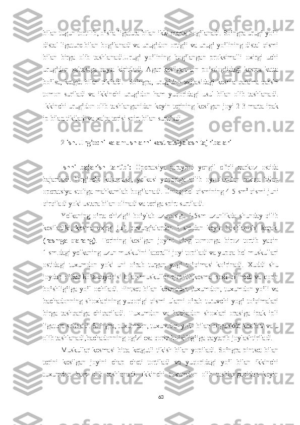 bilan tugun tortilib, o‛sha ligatura bilan ikki marta bog‛lanadi. So‛ngra urug‛ yo‛li
distal ligature bilan bog‛lanadi va urug‛don ortig‛i va urug‛ yo‛lining distal qismi
bilan   birga   olib   tashlanadi.Urug‛   yo‛lining   bog‛langan   proksimalli   oxirgi   uchi
urug‛don   xaltasiga   qayta   kiritiladi.   Agar   kesilgan   qin   po‛stlog‛idagi   kesma   katta
bo‛lsa,   ketgut   bilan   tikiladi.     So‛ngra,   urug‛don   xaltasidagi   kesma   qarama-qarshi
tomon   suriladi   va   ikkinchi   urug‛don   ham   yuqoridagi   usul   bilan   olib   tashlanadi.
Ikkinchi urug‛don olib tashlanganidan keyin terining kesilgan joyi 2-3 marta ipak
ip bilan tikiladi va xalta terisi spirt bilan surtiladi.
2-ish. Urg‛ochi kalamushlarni kastratsiyalash tajribalari
Ishni   bajarish   tartibi:   Operatsiya   jarayoni   yengil   efirli   narkoz   ostida
bajariladi.   Urg‛ochi   kalamush,   yelkasi   yuqoriga   qilib   oyoqlaridan   rezina   bilan
operatsiya stoliga mahkamlab bog‛lanadi. Uning bel qismining 4-5 sm 2  
qismi juni
qirqiladi yoki ustara bilan olinadi va teriga spirt surtiladi.
Yelkaning   o‛rta   chizig‛i   bo‛ylab   uzunasiga   1-5sm   uzunlikda   shunday   qilib
kesiladiki,   kesma   oxirgi   juft   qovurg‛alardan   1   sm.dan   keyin   boshlanishi   kerak.
(rasmga   qarang) .   Terining   kesilgan   joyini   o‛ng   tomonga   biroz   tortib   yaqin
1 sm.dagi yelkaning uzun muskulini lateralli joyi topiladi va yupqa bel muskullari
ostidagi   tuxumdon   yoki   uni   o‛rab   turgan   yog‛   to‛qimasi   ko‛rinadi.   Xuddi   shu
joydan o‛tkir   ko‛z  qaychisi  bilan  muskullar  qirqilib,kesma  hosil   qilinadi   va  qorin
bo‛shlig‛iga   yo‛l   ochiladi.   Pintset   bilan   kesmadan   tuxumdon,   tuxumdon   yo‛li   va
bachadonning   shoxlarining   yuqorigi   qismi   ularni   o‛rab   turuvchi   yog‛   to‛qimalari
birga   tashqariga   chiqariladi.   Tuxumdon   va   bachadon   shoxlari   orasiga   ipak   ipli
ligatura solinadi. So‛ngra, tuxumdon, tuxumdon yo‛li bilan birgalikda kesiladi va u
olib tashlanadi,bachadonning og‛zi esa qorin bo‛shlig‛iga qaytarib joylashtiriladi.
Muskullar  kesmasi  bitta ketgutli tikish bilan yopiladi. So‛ngra pintset  bilan
terini   kesilgan   joyini   chap   cheti   tortiladi   va   yuqoridagi   yo‛l   bilan   ikkinchi
tuxumdon   ham   olib   tashlanadi.   Ikkinchi   tuxumdon   olib   tashlanganidan   keyin
63 