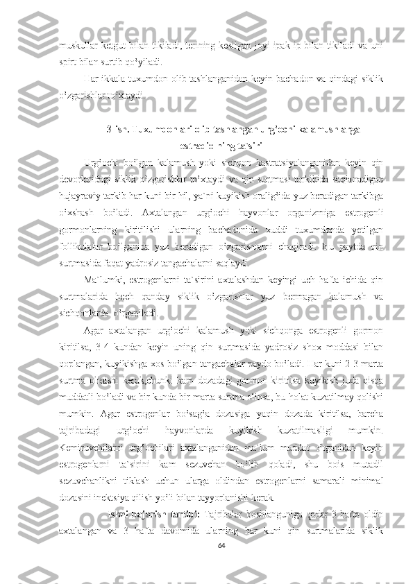 muskullar  ketgut   bilan tikiladi,  terining  kesilgan  joyi  ipak  ip bilan  tikiladi   va uni
spirt bilan surtib qo‛yiladi.
Har ikkala tuxumdon olib tashlanganidan  keyin bachadon va qindagi  siklik
o‛zgarishlar to‛xtaydi.
3-ish. Tuxumdonlari olib tashlangan urg‛ochi kalamushlarga
estradiolning ta`siri
Urg‛ochi   bo‛lgan   kalamush   yoki   sichqon   kastratsiyalanganidan   keyin   qin
devorlaridagi   siklik   o‛zgarishlar   to‛xtaydi   va   qin   surtmasi   tarkibida   saqlanadigan
hujayraviy tarkib har kuni bir hil, ya`ni kuyikish oralig‛ida yuz beradigan tarkibga
o‛xshash   bo‛ladi.   Axtalangan   urg‛ochi   hayvonlar   organizmiga   estrogenli
gormonlarning   kiritilishi   ularning   bachadonida   xuddi   tuxumdonda   yetilgan
follikulalar   bo‛lganida   yuz   beradigan   o‛zgarishlarni   chaqiradi.   Bu   paytda   qin
surtmasida faqat yadrosiz tangachalarni saqlaydi.
Ma`lumki,   estrogenlarni   ta`sirini   axtalashdan   keyingi   uch   hafta   ichida   qin
surtmalarida   hech   qanday   siklik   o‛zgarishlar   yuz   bermagan   kalamush   va
sichqonlarda  o‛rganiladi.
Agar   axtalangan   urg‛ochi   kalamush   yoki   sichqonga   estrogenli   gormon
kiritilsa,   3-4   kundan   keyin   uning   qin   surtmasida   yadrosiz   shox   moddasi   bilan
qoplangan, kuyikishga xos bo‛lgan tangachalar paydo bo‛ladi. Har kuni 2-3 marta
surtma   olinishi   kerak,chunki   kam   dozadagi   gormon   kiritilsa   kuyikish   juda   qisqa
muddatli bo‛ladi va bir kunda bir marta surtma olinsa, bu holat kuzatilmay qolishi
mumkin.   Agar   estrogenlar   bo‛sag‛a   dozasiga   yaqin   dozada   kiritilsa,   barcha
tajribadagi   urg‛ochi   hayvonlarda   kuyikish   kuzatilmasligi   mumkin.
Kemiruvchilarni   urg‛ochilari   axtalanganidan   ma`lum   muddat   o‛tganidan   keyin
estrogenlarni   ta`sirini   kam   sezuvchan   bo‛lib   qoladi,   shu   bois   mutadil
sezuvchanlikni   tiklash   uchun   ularga   oldindan   estrogenlarni   samarali   minimal
dozasini inektsiya qilish yo‛li bilan tayyorlanishi kerak.  
              Ishni   bajarish   tartibi:   Tajribalar   boshlanguniga   qadar   3   hafta   oldin
axtalangan   va   3   hafta   davomida   ularning   har   kuni   qin   surtmalarida   siklik
64 