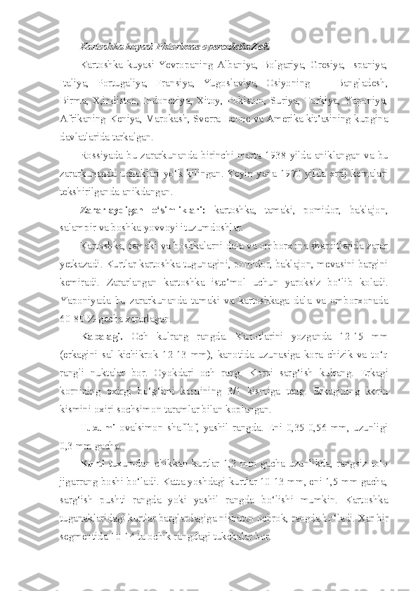 Kartoshka kuyasi-Phtorimae operculella Zell.
Kartoshka   kuyasi   Yevropaning   Albaniya,   Bolgariya,   Gresiya,   Ispaniya,
Italiya,   Portugaliya,   Fransiya,   Yugoslaviya,   Osiyoning   —   Bangladesh,
Birma,   X,indiston,   Indoneziya,   Xitoy,   Pokiston,   Suriya,   Turkiya,   Yaponiya,
Afrikaning-Keniya, Marokash, Sverra-Leone va Amerika kit’asining kupgina
davlatlarida tarkalgan.
Rossiyada bu zararkunanda birinchi marta 1938 - yilda anik l angan va bu
zararkunanda uchok l ari y o‘ k k ili ngan. Keyin yana 1970 yilda xrrij kemalari
tekshirilganda anikdangan.
Zararlaydigan   o‘simliklari:   kartoshka,   tamaki,   pomidor,   baklajon,
salampir va boshka yovvoyi ituzumdoshlar.
Kartoshka, tamaki va boshkalarni dala va omborxona sharoitlarida zarar
yetkazadi. Kurtlar kartoshka tugunagini, pomidor, baklajon, mevasini bargini
kemiradi.   Zararlangan   kartoshka   iste’mol   uchun   yaroksiz   b o‘ lib   k o ladi.
Yaponiyada   bu   zararkunanda   tamaki   va   kartoshkaga   dala   va   omborxonada
60-80 % gacha zararlagan.
Ka p alagi.   Och   kulrang   rangda.   Kanotlarini   yozganda   12-15   mm
(erkagini   sal   kichikrok   12-13   mm),   kanotida   uzunasiga   kora   chizik   va   t o‘q
rangli   nuktalar   bor.   Oyokdari   och   rang.   Korni   sar g‘i sh   kulrang.   Erkagi
kornining   oxirgi   b o‘g‘ imi   kornining   3/1   kismiga   teng.   Erkagining   korin
kismini oxiri sochsimon taramlar bilan koplangan.
Tuxumi   ovalsimon   shaffof,   yashil   rangda.   Eni   0,35-0,56   mm,   uzunligi
0,3 mm gacha.
K u rti   tuxumdan   chikkan   kurtlar   1,2   mm   gacha   uzunlikda,   rang siz   t o‘q
jigarrang boshi b o‘ ladi. Katta yoshdagi kurtlar 10-13 mm, eni 1,5 mm gacha,
sar g‘ ish   pushti   rangda   yoki   yashil   rangda   b o‘ lishi   mumkin.   Kartoshka
tuganaklaridagi kurtlar barglardagiga nisbatan ochrok, rangda b o‘ ladi. Xar bir
segmentida 10-14 ta ochik rangdagi tukchalar bor. 