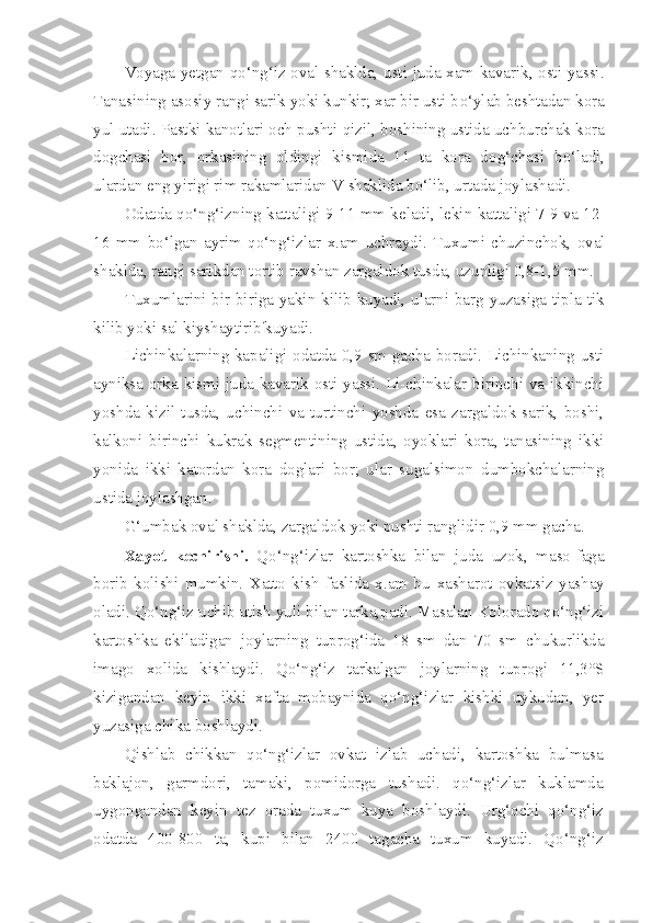 Voyaga yetgan qo‘ng‘iz oval shaklda, usti juda xam kavarik, osti yassi.
Tanasining asosiy rangi sarik yoki kunkir; xar bir usti b o‘ ylab beshtadan kora
yul utadi. Pastki kanotlari och pushti  q izil, boshining ustida uchburchak kora
dogchasi   bor,   orkasining   oldingi   kismida   11   ta   kora   do g‘ chasi   b o‘ ladi,
ulardan eng yirigi rim rakamlaridan  V  shaklida bo‘lib, urtada joylashadi.
Odatda qo‘ng‘izning kattaligi 9-11 mm keladi, lekin kattaligi 7-9 va 12-
16   mm   b o‘ lgan   ayrim   qo‘ng‘izlar   x.am   uchraydi.   Tuxumi   chuzinchok,   oval
shaklda, rangi sarikdan tortib ravshan zargaldok tusda, uzunligi 0,8-1,5 mm.
Tuxumlarini bir-biriga yakin kilib kuyadi, ularni barg yuzasiga tipla-tik
kilib yoki sal kiyshaytirib'kuyadi.
Lichinkalarning kapaligi odatda 0,9 sm gacha boradi. Lichinkaning usti
ayniksa orka kismi juda kavarik osti yassi. Li-chinkalar birinchi va ikkinchi
yoshda   kizil   tusda,   uchinchi   va   turtinchi   yoshda   esa   zargaldok-sarik,   boshi,
kalkoni   birinchi   kukrak   segmentining   ustida,   oyoklari   kora,   tanasining   ikki
yonida   ikki   katordan   kora   doglari   bor;   ular   sugalsimon   dumbokchalarning
ustida joylashgan.
G‘ umbak oval shaklda, zargaldok yoki pushti ranglidir 0,9 mm gacha.
Xayot   kechirishi.   Qo‘ng‘izlar   kartoshka   bilan   juda   uzok,   maso-faga
borib   kolishi   mumkin.   Xatto   kish   faslida   x.am   bu   x asharot   ovkatsiz   yashay
oladi. Qo‘ng‘iz uchib utish yuli bilan tarka,padi. Masalan Kolorado qo‘ng‘izi
kartoshka   ekiladigan   joylarning   tupr og‘ ida   18   sm   dan   70   sm   chukurlikda
imago   x o lida   kishlaydi.   Qo‘ng‘iz   tarkalgan   joylarning   tuprogi   11,3°S
kizigandan   keyin   ikki   xafta   mobaynida   qo‘ng‘izlar   kishki   uykudan,   yer
yuzasiga chika boshlaydi.
Q ishlab   chikkan   qo‘ng‘izlar   ovkat   izlab   uchadi,   kartoshka   bulmasa
baklajon,   garmdori,   tamaki,   pomidorga   tushadi.   qo‘ng‘izlar   kuklamda
uygongandan   keyin   tez   orada   tuxum   kuya   bosh laydi.   Ur g‘ ochi   qo‘ng‘iz
odatda   400-800   ta,   kupi   bilan   2400   tagacha   tuxum   kuyadi.   Qo‘ng‘iz 