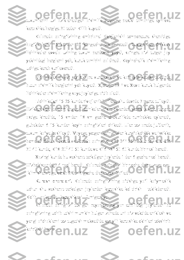 tuxumlarini   uzi   oziklanadigan   o‘simlik   bargning   pastki   tomoniga   ayniksa
kartoshka bargiga 30 tadan Kilib kuyadi.
Kolorado   qo‘ng‘izining   embrional   rivojlanishi   temperatura   sharoitiga
bo g‘ lik   bo‘lib   5   kundan   20   kungacha   davom   etadi.   Tuxum-dan   chikkan
lichinkalar   avvalo   uzining   tuxum   pardasini   yeydi,   s o‘ ngra   o‘ zi   turgan   joy
yakinidagi barglarni yeb, kuruk tomirini   q oldiradi. Keyinchalik o‘simlikning
uchiga karab surilaveradi.
Lichinkalar   o‘sgan   sari   tobora   xuralashadi   va   ko‘payib   ketgan   takdirda
butun o‘simlik barglarini yeb kuyadi.   X,arorat 38 ° va Xavo kuruk bulganda
lichinkalar o‘simlikning soya joylariga  o‘ tib oladi.
Lichinkalari 15-25 kunda rivojlanib b o‘ ladi, shu davrda 3 marta tullaydi.
Oziklanishini   tamomlangan   lichinkalar   o‘si mliklardan   yerga   tushib,   tupro q
ostiga   kiradida,   15   smdan   18   sm   gacha   chukurlikda   rumbakka   aylanadi,
gubakdan   6-15   kundan   keyin   qo‘ n g‘ izlari   chikadi.   Ular   tez   orada   juftlanib,
tuxum k o‘ ya boshlaydi. Voyaga yetgan k o‘ n g‘ izlar kur g‘ okchilik va issikka
bemalol chidash beradi. Kolorado qo‘ng‘izi K22-24° 25-30 kunda, K20-22°
30-40 kunda, K18-20 0
 40-50 kunda va K16-18° 50-60 kunda bir na s l beradi.
Xozirgi kunda bu xasharot tarkdlgan joylarda 1 dan 6 gacha nael beradi.
O‘zbekistonda 3-4 nael beradi. Kolorado qo‘ng‘izi bir necha diapauzaga ega.
Iklim sharoitiga karab 2 dan 6 gacha diapauzasi b o‘ ladi.
Kurash   choralari.   Kolorado   qo‘ng‘izining   o‘ tishga   y o‘ l   k o‘ ymaslik
uchun   shu   xasharot   tarkalgan   joylardan   kartoshka   kel-tirish       takikdanadi.
Kelib    q olganda   kartoshkani   fumigatsiya
Kolorado   qo‘ng‘izi   tushgan   rayonlarning   yon-atrofidagi   joy lardan   bu
qo‘ng‘izning uchib utishi mumkin bulgan zonada uni  o‘ z vaktida aniklash va
yangi  o‘ choklarni tez tugatish maksadida xar yili kartoshka ekinlari tekshirib
k o‘ rilishi lozim. 