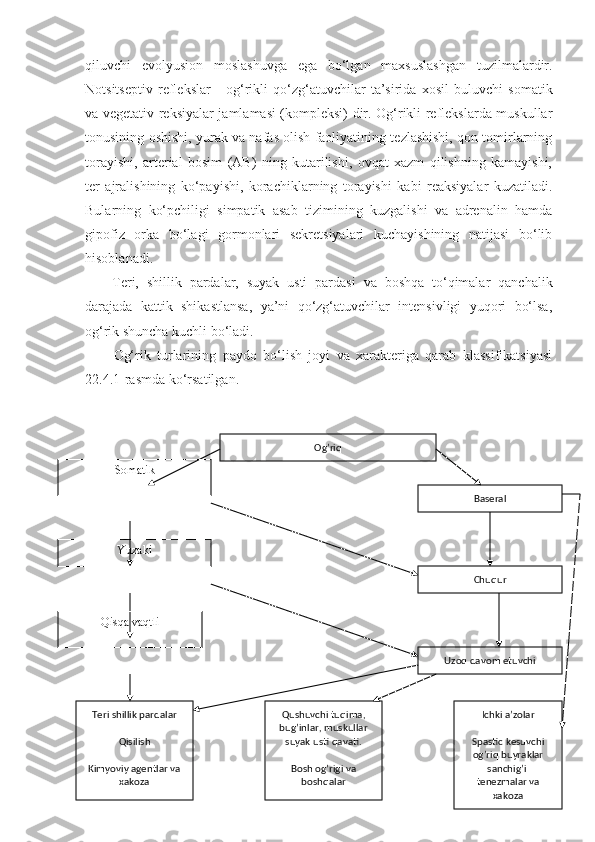 qiluvchi   evolyusion   moslashuvga   ega   bo‘lgan   maxsuslashgan   tuzilmalardir.
Notsitseptiv   reflekslar   -   og‘rikli   qo‘zg‘atuvchilar   ta’sirida   xosil   buluvchi   somatik
va vegetativ reksiyalar jamlamasi (kompleksi) dir. Og‘rikli reflekslarda muskullar
tonusining oshishi, yurak va nafas olish faoliyatining tezlashishi, qon tomirlarning
torayishi,   arterial   bosim   (AB)   ning   kutarilishi,   ovqat   xazm   qilishning   kamayishi,
ter   ajralishining   ko‘payishi,   korachiklarning   torayishi   kabi   reaksiyalar   kuzatiladi.
Bularning   ko‘pchiligi   simpatik   asab   tizimining   kuzgalishi   va   adrenalin   hamda
gipofiz   orka   bo‘lagi   gormonlari   sekretsiyalari   kuchayishining   natijasi   bo‘lib
hisoblanadi.
Teri,   shillik   pardalar,   suyak   usti   pardasi   va   boshqa   to‘qimalar   qanchalik
darajada   kattik   shikastlansa,   ya’ni   qo‘zg‘atuvchilar   intensivligi   yuqori   bo‘lsa,
og‘rik shuncha kuchli bo‘ladi.
Og‘rik   turlarining   paydo   bo‘lish   joyi   va   xarakteriga   qarab   klassifikatsiyasi
22.4.1-rasmda ko‘rsatilgan.
Somatik
Yuzaki
Qisqa vaqtli Og’riq
Baseral
Chuqur
Uzoq davom etuvchi
Teri shillik pardalar
Qisilish
Kimyoviy agentlar va 
xakoza Qushuvchi tuqima, 
bug’inlar, muskullar 
suyak usti qavati.
Bosh og’rigi va 
boshqalar Ichki a’zolar
Spastic kesuvchi 
og’riq buyraklar 
sanchig’i  
tenezmalar va 
xakoza 