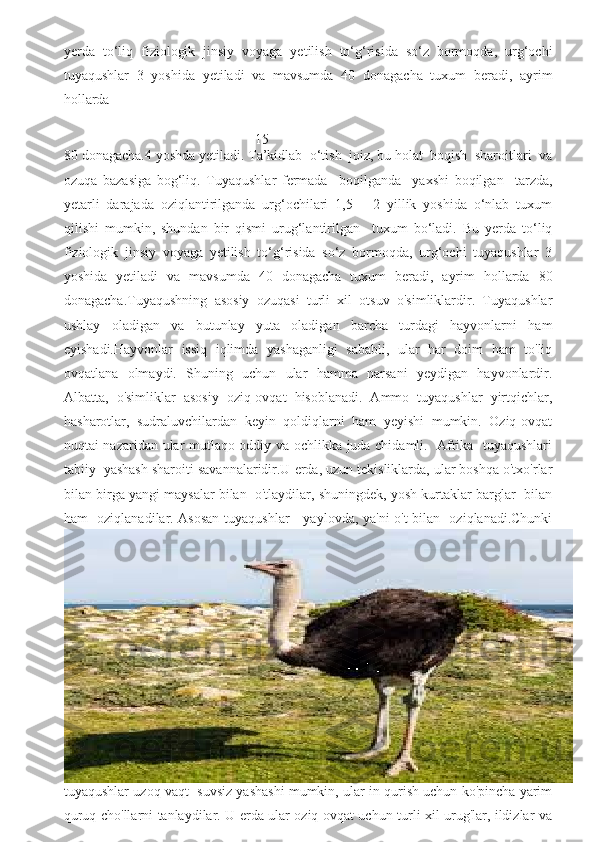 yerda   to‘liq   fiziologik   jinsiy   voyaga   yetilish   to‘g‘risida   so‘z   bormoqda,   urg‘ochi
tuyaqushlar   3   yoshida   yetiladi   va   mavsumda   40   donagacha   tuxum   beradi,   ayrim
hollarda 
15
80 donagacha.4 yoshda yetiladi. Ta’kidlab  o‘tish  joiz, bu holat  boqish  sharoitlari  va
ozuqa   bazasiga   bog‘liq.   Tuyaqushlar   fermada     boqilganda     yaxshi   boqilgan     tarzda,
yetarli   darajada   oziqlantirilganda   urg‘ochilari   1,5   –   2   yillik   yoshida   o‘nlab   tuxum
qilishi   mumkin,   shundan   bir   qismi   urug‘lantirilgan     tuxum   bo‘ladi.   Bu   yerda   to‘liq
fiziologik   jinsiy   voyaga   yetilish   to‘g‘risida   so‘z   bormoqda,   urg‘ochi   tuyaqushlar   3
yoshida   yetiladi   va   mavsumda   40   donagacha   tuxum   beradi,   ayrim   hollarda   80
donagacha.Tuyaqushning   asosiy   ozuqasi   turli   xil   otsuv   o'simliklardir.   Tuyaqushlar
ushlay   oladigan   va   butunlay   yuta   oladigan   barcha   turdagi   hayvonlarni   ham
eyishadi.Hayvonlar   issiq   iqlimda   yashaganligi   sababli,   ular   har   doim   ham   to'liq
ovqatlana   olmaydi.   Shuning   uchun   ular   hamma   narsani   yeydigan   hayvonlardir.
Albatta,   o'simliklar   asosiy   oziq-ovqat   hisoblanadi.   Ammo   tuyaqushlar   yirtqichlar,
hasharotlar,   sudraluvchilardan   keyin   qoldiqlarni   ham   yeyishi   mumkin.   Oziq-ovqat
nuqtai nazaridan ular mutlaqo oddiy va ochlikka juda chidamli.   Afrika   tuyaqushlari
tabiiy  yashash sharoiti savannalaridir.U erda, uzun tekisliklarda, ular boshqa o'txo'rlar
bilan birga yangi maysalar bilan  o'tlaydilar, shuningdek, yosh kurtaklar barglar  bilan
ham   oziqlanadilar. Asosan tuyaqushlar     yaylovda, ya'ni o't bilan   oziqlanadi.Chunki
tuyaqushlar uzoq vaqt  suvsiz yashashi mumkin, ular in qurish uchun ko'pincha yarim
quruq cho'llarni tanlaydilar. U erda ular oziq-ovqat uchun turli xil urug'lar, ildizlar va 