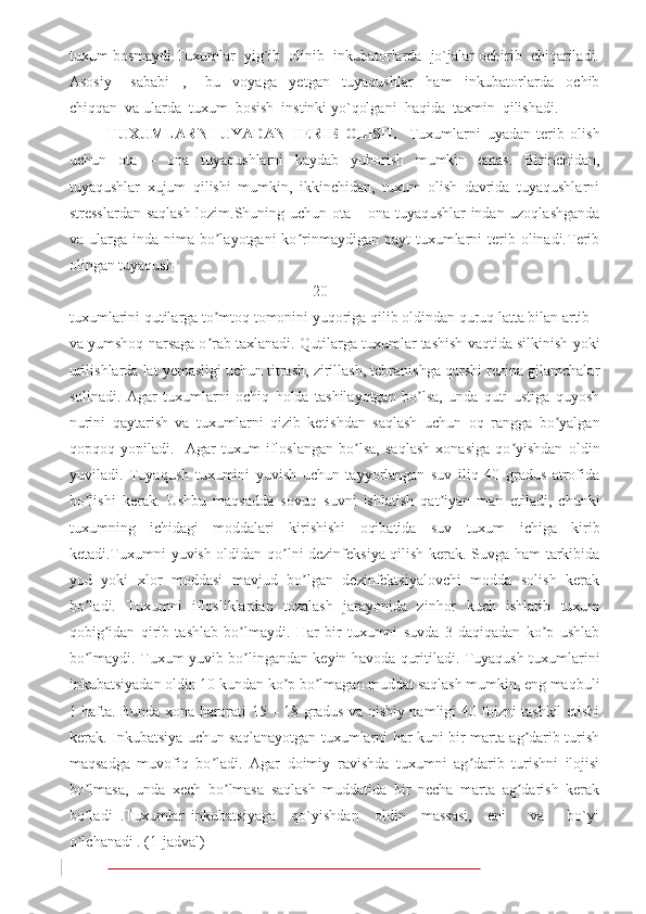 tuxum bosmaydi.Tuxumlar  yig`ib  olinib  inkubatorlarda  jo`jalar ochirib  chiqariladi.
Asosiy       sababi     ,       bu     voyaga     yetgan     tuyaqushlar     ham     inkubatorlarda     ochib
chiqqan  va ularda  tuxum  bosish  instinki yo`qolgani  haqida  taxmin  qilishadi.  
TUXUMLARNI   UYADAN   TERIB   OLISH.     Tuxumlarni   uyadan   terib   olish
uchun   ota   –   ona   tuyaqushlarni   haydab   yuborish   mumkin   emas.   Birinchidan,
tuyaqushlar   xujum   qilishi   mumkin,   ikkinchidan,   tuxum   olish   davrida   tuyaqushlarni
stresslardan saqlash lozim.Shuning uchun ota – ona tuyaqushlar indan uzoqlashganda
va ularga  inda nima  bo layotgani  ko rinmaydigan  payt  tuxumlarni  terib olinadi.Teribʼ ʼ
olingan tuyaqush 
                                                                20
tuxumlarini qutilarga to mtoq tomonini yuqoriga qilib oldindan quruq latta bilan artib 
ʼ
va yumshoq narsaga o rab taxlanadi. Qutilarga tuxumlar tashish vaqtida silkinish yoki
ʼ
urilishlarda lat yemasligi uchun titrash, zirillash, tebranishga qarshi rezina gilamchalar
solinadi.   Аgar   tuxumlarni   ochiq   holda   tashilayotgan   bo lsa,   unda   quti   ustiga   quyosh	
ʼ
nurini   qaytarish   va   tuxumlarni   qizib   ketishdan   saqlash   uchun   oq   rangga   bo yalgan	
ʼ
qopqoq   yopiladi.     Аgar   tuxum   ifloslangan   bo lsa,   saqlash   xonasiga   qo yishdan   oldin	
ʼ ʼ
yuviladi.   Tuyaqush   tuxumini   yuvish   uchun   tayyorlangan   suv   iliq   40   gradus   atrofida
bo lishi   kerak.   Ushbu   maqsadda   sovuq   suvni   ishlatish   qat iyan   man   etiladi,   chunki	
ʼ ʼ
tuxumning   ichidagi   moddalari   kirishishi   oqibatida   suv   tuxum   ichiga   kirib
ketadi.Tuxumni yuvish oldidan qo lni dezinfeksiya qilish kerak. Suvga ham tarkibida	
ʼ
yod   yoki   xlor   moddasi   mavjud   bo lgan   dezinfektsiyalovchi   modda   solish   kerak	
ʼ
bo ladi.   Tuxumni   iflosliklardan   tozalash   jarayonida   zinhor   kuch   ishlatib   tuxum	
ʼ
qobig idan   qirib   tashlab   bo lmaydi.   Har   bir   tuxumni   suvda   3   daqiqadan   ko p   ushlab	
ʼ ʼ ʼ
bo lmaydi. Tuxum yuvib bo lingandan keyin havoda quritiladi. Tuyaqush tuxumlarini	
ʼ ʼ
inkubatsiyadan oldin 10 kundan ko p bo lmagan muddat saqlash mumkin, eng maqbuli	
ʼ ʼ
1 hafta. Bunda xona harorati 15 – 18 gradus va nisbiy namligi 40 foizni tashkil etishi
kerak. Inkubatsiya uchun saqlanayotgan tuxumlarni har kuni bir marta ag darib turish	
ʼ
maqsadga   muvofiq   bo ladi.   Аgar   doimiy   ravishda   tuxumni   ag darib   turishni   ilojisi	
ʼ ʼ
bo lmasa,   unda   xech   bo lmasa   saqlash   muddatida   bir   necha   marta   ag darish   kerak	
ʼ ʼ ʼ
bo ladi   .Tuxumlar   inkubatsiyaga     qo`yishdan     oldin     massasi,     eni       va       bo`yi
ʼ
o`lchanadi . (1-jadval)
                                                                                                   