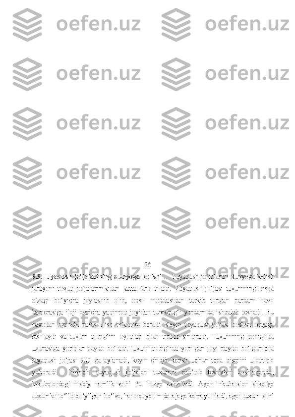                                                                  26
3.3.Tuyaqush   jo’jalarining   dunyoga   kelishi   .     Tuyaqush   jo‘jalarini   dunyoga   kelish
jarayoni   tovuq   jo‘jalarinikidan   katta   farq   qiladi.   Tuyaqush   jo‘jasi   tuxumning   qisqa
o‘zagi   bo‘yicha   joylashib   olib,   oqsil   moddasidan   tarkib   topgan   pardani   havo
kamerasiga   iloji   boricha   yaqinroq   joyidan   tumshug‘i   yordamida   ishqalab   teshadi.   Bu
havodan   birinchi   nafas   olish   imkonini   beradi.   Keyin   tuyaqush   jo‘jasi   boshini   orqaga
tashlaydi   va   tuxum   qobig‘ini   oyoqlari   bilan   tiralib   sindiradi.   Tuxumning   qobig‘ida
uzunasiga   yoriqlar   paydo   bo‘ladi.Tuxum   qobig‘ida   yorilgan   joyi   paydo   bo‘lgunicha
tuyaqush   jo‘jasi   900   ga   aylanadi,   keyin   chiqib   ketish   uchun   tepa   qismini   uloqtirib
yuboradi.     Birinchi   tuyaqush   jo‘jalari   tuxumni   cho‘qib   teshishni   boshlaganda,
inkubatordagi   nisbiy   namlik   sathi   30   foizga   oshiriladi.   Agar   inkubatsion   shkafga
tuxumlar to‘liq qo‘yilgan bo‘lsa, harorat yarim darajaga kamaytiriladi, agar tuxum soni 