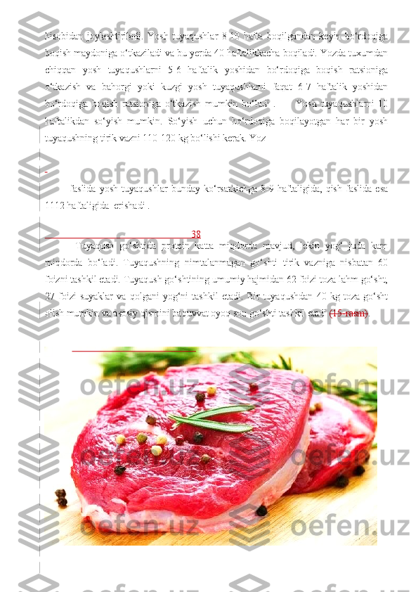 hisobidan   joylashtiriladi.   Yosh   tuyaqushlar   8-10   hafta   boqilgandan   keyin   bo‘rdoqiga
boqish maydoniga o‘tkaziladi va bu yerda 40 haftalikkacha boqiladi. Yozda tuxumdan
chiqqan   yosh   tuyaqushlarni   5-6   haftalik   yoshidan   bo‘rdoqiga   boqish   ratsioniga
o‘tkazish   va   bahorgi   yoki   kuzgi   yosh   tuyaqushlarni   faqat   6-7   haftalik   yoshidan
bo‘rdoqiga   boqish   ratsioniga   o‘tkazish   mumkin   bo‘ladi   .           Yosh   tuyaqushlarni   10
haftalikdan   so‘yish   mumkin.   So‘yish   uchun   bo‘rdoqiga   boqilayotgan   har   bir   yosh
tuyaqushning tirik vazni 110-120 kg bo‘lishi kerak. Yoz 
 
faslida   yosh   tuyaqushlar   bunday   ko‘rsatkichga   8-9   haftaligida,   qish   faslida   esa
1112 haftaligida  erishadi .     
                                                            38
  Tuyaqush   go‘shtida   protein   katta   miqdorda   mavjud,   lekin   yog‘   juda   kam
miqdorda   bo‘ladi.   Tuyaqushning   nimtalanmagan   go‘shti   tirik   vazniga   nisbatan   60
foizni tashkil etadi. Tuyaqush go‘shtining umumiy hajmidan 62 foizi toza lahm go‘sht,
27   foizi   suyaklar   va   qolgani   yog‘ni   tashkil   etadi.   Bir   tuyaqushdan   40   kg   toza   go‘sht
olish mumkin va asosiy qismini baquvvat oyoq son go‘shti tashkil etadi  (15-rasm) . 
 
                                                     