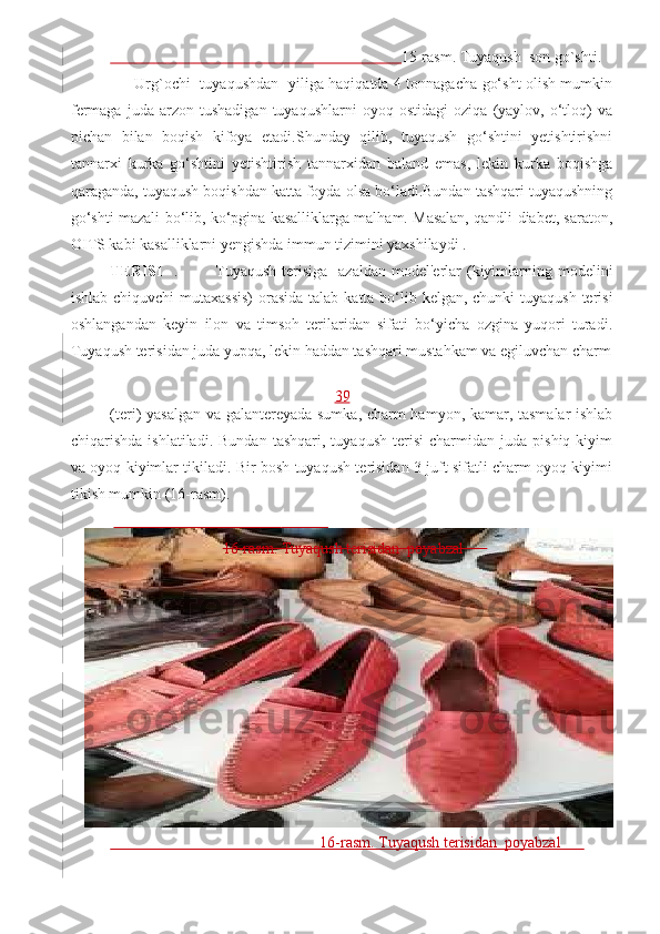                                                                             15-rasm. Tuyaqush  son go`shti.  
         Urg`ochi   tuyaqushdan   yiliga haqiqatda 4 tonnagacha go‘sht olish mumkin
fermaga   juda  arzon   tushadigan   tuyaqushlarni   oyoq  ostidagi   oziqa   (yaylov,   o‘tloq)   va
pichan   bilan   boqish   kifoya   etadi.Shunday   qilib,   tuyaqush   go‘shtini   yetishtirishni
tannarxi   kurka   go‘shtini   yetishtirish   tannarxidan   baland   emas,   lekin   kurka   boqishga
qaraganda, tuyaqush boqishdan katta foyda olsa bo‘ladi.Bundan tashqari tuyaqushning
go‘shti mazali bo‘lib, ko‘pgina kasalliklarga malham. Masalan, qandli diabet, saraton,
OITS kabi kasalliklarni yengishda immun tizimini yaxshilaydi . 
TERISI     .             Tuyaqush  terisiga   azaldan  model'erlar  (kiyimlarning modelini
ishlab chiquvchi mutaxassis)  orasida talab katta bo‘lib kelgan, chunki  tuyaqush  terisi
oshlangandan   keyin   ilon   va   timsoh   terilaridan   sifati   bo‘yicha   ozgina   yuqori   turadi.
Tuyaqush terisidan juda yupqa, lekin haddan tashqari mustahkam va egiluvchan charm
39
(teri) yasalgan va galantereyada sumka, charm hamyon, kamar, tasmalar  ishlab
chiqarishda   ishlatiladi.   Bundan   tashqari,  tuyaqush   terisi   charmidan  juda   pishiq   kiyim
va oyoq kiyimlar tikiladi. Bir bosh tuyaqush terisidan 3 juft sifatli charm oyoq kiyimi
tikish mumkin (16-rasm). 
                                                          
                              16-rasm. Tuyaqush terisidan  poyabzal      
                                                      16-rasm. Tuyaqush terisidan  poyabzal       