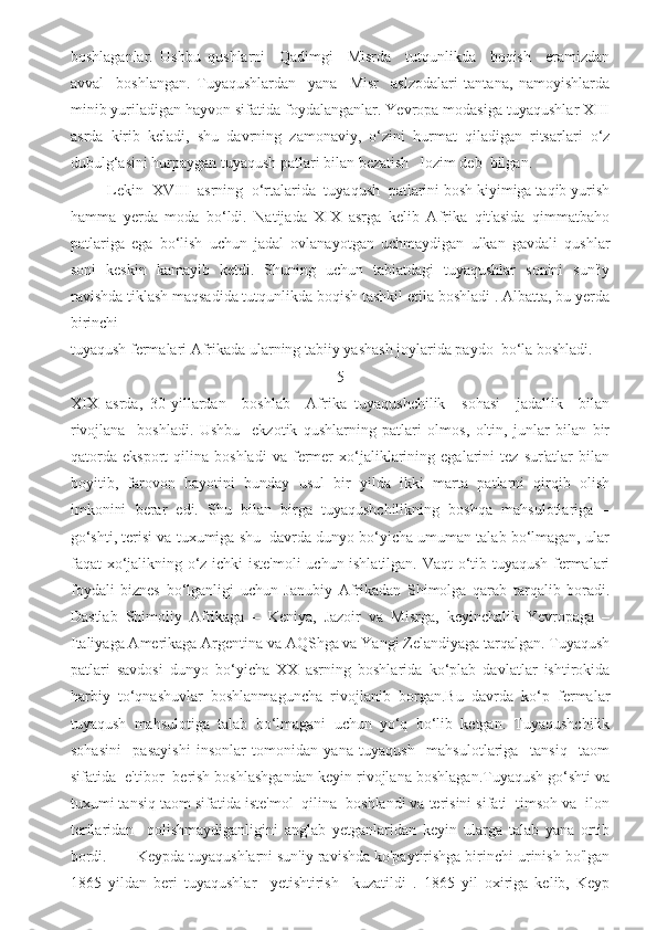 boshlaganlar.   Ushbu   qushlarni     Qadimgi     Misrda     tutqunlikda     boqish     eramizdan
avval     boshlangan.   Tuyaqushlardan     yana     Misr     aslzodalari   tantana,   namoyishlarda
minib yuriladigan hayvon sifatida foydalanganlar. Yevropa modasiga tuyaqushlar XIII
asrda   kirib   keladi,   shu   davrning   zamonaviy,   o‘zini   hurmat   qiladigan   ritsarlari   o‘z
dubulg‘asini hurpaygan tuyaqush patlari bilan bezatish   lozim deb  bilgan.
         Lekin  XVIII  asrning  o‘rtalarida  tuyaqush  patlarini bosh kiyimiga taqib yurish
hamma   yerda   moda   bo‘ldi.   Natijada   XIX   asrga   kelib   Afrika   qit'asida   qimmatbaho
patlariga   ega   bo‘lish   uchun   jadal   ovlanayotgan   uchmaydigan   ulkan   gavdali   qushlar
soni   keskin   kamayib   ketdi.   Shuning   uchun   tabiatdagi   tuyaqushlar   sonini   sun'iy
ravishda tiklash maqsadida tutqunlikda boqish tashkil etila boshladi . Albatta, bu yerda
birinchi 
tuyaqush fermalari Afrikada ularning tabiiy yashash joylarida paydo  bo‘la boshladi.
                                                                     5                   
XIX   asrda,   30-yillardan     boshlab     Afrika   tuyaqushchilik     sohasi     jadallik     bilan
rivojlana     boshladi.   Ushbu     ekzotik   qushlarning   patlari   olmos,   oltin,   junlar   bilan   bir
qatorda   eksport   qilina   boshladi   va   fermer   xo‘jaliklarining   egalarini   tez   sur'atlar   bilan
boyitib,   farovon   hayotini   bunday   usul   bir   yilda   ikki   marta   patlarni   qirqib   olish
imkonini   berar   edi.   Shu   bilan   birga   tuyaqushchilikning   boshqa   mahsulotlariga   –
go‘shti, terisi va tuxumiga shu  davrda dunyo bo‘yicha umuman talab bo‘lmagan, ular
faqat xo‘jalikning o‘z ichki iste'moli uchun ishlatilgan. Vaqt  o‘tib tuyaqush fermalari
foydali   biznes   bo‘lganligi   uchun   Janubiy   Afrikadan   Shimolga   qarab   tarqalib   boradi.
Dastlab   Shimoliy   Afrikaga   –   Keniya,   Jazoir   va   Misrga,   keyinchalik   Yevropaga   –
Italiyaga Amerikaga Argentina va AQShga va Yangi Zelandiyaga tarqalgan. Tuyaqush
patlari   savdosi   dunyo   bo‘yicha   XX   asrning   boshlarida   ko‘plab   davlatlar   ishtirokida
harbiy   to‘qnashuvlar   boshlanmaguncha   rivojlanib   borgan.Bu   davrda   ko‘p   fermalar
tuyaqush   mahsulotiga   talab   bo‘lmagani   uchun   yo‘q   bo‘lib   ketgan.   Tuyaqushchilik
sohasini     pasayishi   insonlar   tomonidan   yana   tuyaqush     mahsulotlariga     tansiq     taom
sifatida  e'tibor  berish boshlashgandan keyin rivojlana boshlagan.Tuyaqush go‘shti va
tuxumi tansiq taom sifatida iste'mol  qilina  boshlandi va terisini sifati  timsoh va  ilon
terilaridan     qolishmaydiganligini   anglab   yetganlaridan   keyin   ularga   talab   yana   ortib
bordi.       Keypda tuyaqushlarni sun'iy ravishda ko'paytirishga birinchi urinish bo'lgan
1865   yildan   beri   tuyaqushlar     yetishtirish     kuzatildi   .   1865   yil   oxiriga   kelib,   Keyp 