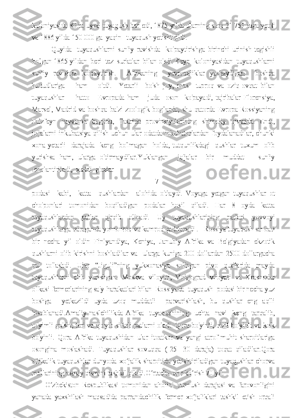 koloniyasida 80 ta uysal tuyaqush bor edi, 1875 yilda ularning soni 21 751 taga yetdi
va 1886 yilda 150 000 ga  yaqin   tuyaqush yetishtirildi. 
              Quyida     tuyaqushlarni   sun'iy   ravishda     ko'paytirishga   birinchi   urinish   tegishli
bo'lgan 1865 yildan  beri  tez  sur'atlar  bilan o'sdi. Keyp  koloniyasidan  tuyaqushlarni
sun'iy   ravishda   ko'paytirish.     Afrikaning     yevropaliklar   yashaydigan     boshqa
hududlariga       ham       o'tdi.     Yetarli     bo'sh   joy,   mos     tuproq   va   oziq-ovqat   bilan
tuyaqushlar         hatto       Evropada   ham       juda     oson     ko'payadi,   tajribalar   Florensiya,
Marsel,   Madrid   va   boshqa   ba'zi   zoologik   bog'larda,   shu   qatorda   Evropa   Rossiyaning
Falzfeyn   hayvonot   bog'ida,   Tauride   provinsiyalarining   shimoliy   qismida.   Endi,
jo'jalarni  inkubatsiya  qilish  uchun  ular   odatda  inkubatorlardan foydalanadilar,  chunki
xona   yetarli     darajada     keng     bo'lmagan     holda,   tutqunlikdagi     qushlar     tuxum     olib
yurishsa   ham,   ularga   o'tirmaydilar.Yuklangan     jo'jalar     bir     muddat       sun'iy
oziqlantiriladi,  xuddi  g'ozlar 
                                                                       7 
podasi     kabi,     katta     qushlardan     alohida   o'tlaydi.   Voyaga   yetgan   tuyaqushlar   ot
cho'ponlari   tomonidan   boqiladigan   podalar   hosil   qiladi.   Har   8   oyda   katta
tuyaqushlardan   patlar   qirqib   olinadi.   Uy   tuyaqushlarining   patlari   yovvoyi
tuyaqushlarga qaraganda yomonroq va kamroq qadrlanadi .   Rossiya tuyaqush sanoati
bir   necha   yil   oldin   Finlyandiya,   Keniya,   Janubiy   Afrika   va   Belgiyadan   ekzotik
qushlarni   olib   kirishni   boshladilar   va     ularga   kuniga   200   dollardan   2500   dollargacha
pul   to'lashdi.   Ular   “Jiguli”ning   yukxonasiga   solingan   pivo   qutilarida   mayda
tuyaqushlarni   olib   yurishgan.   Moskva   viloyati,   Volgograd   viloyati   va   Krasnodar
o'lkasi fermerlarining sa'y-harakatlari bilan  Rossiyada  tuyaqush  podasi bir necha yuz
boshga     yetkazildi   uyda   uzoq   muddatli     parvarishlash,   bu   qushlar   eng   aqlli
hisoblanadi.Amaliy   naslchilikda   Afrika     tuyaqushining     uchta     navi     keng     tarqalib,
to'yimli go'sht, teri va ajoyib sifatli patlarni oladi. Qora bo'yinli, qizil bo'yinli va ko'k
bo'yinli.   Qora   Afrika   tuyaqushidan   ular   itoatkor   va   yangi   atrof-muhit   sharoitlariga
osongina   moslashadi.   Tuyaqushlar   sovuqqa   (-25   -30   daraja)   toqat   qiladilar.Qora
afrikalik  tuyaqushlar  dunyoda  xo jalik  sharoitida  yetishtiriladigan  tuyaqushlar   chorvaʻ
mollarining asosiy qismini tashkil qiladi.O rtacha umr ko rish 70 yil. 	
ʻ ʻ
        O zbekiston   Respublikasi   tomonidan   aholini   turmush   darajasi   va   farovonligini	
ʻ
yanada   yaxshilash   maqsadida   parrandachilik   fermer   xo jaliklari   tashkil   etish   orqali	
ʻ 