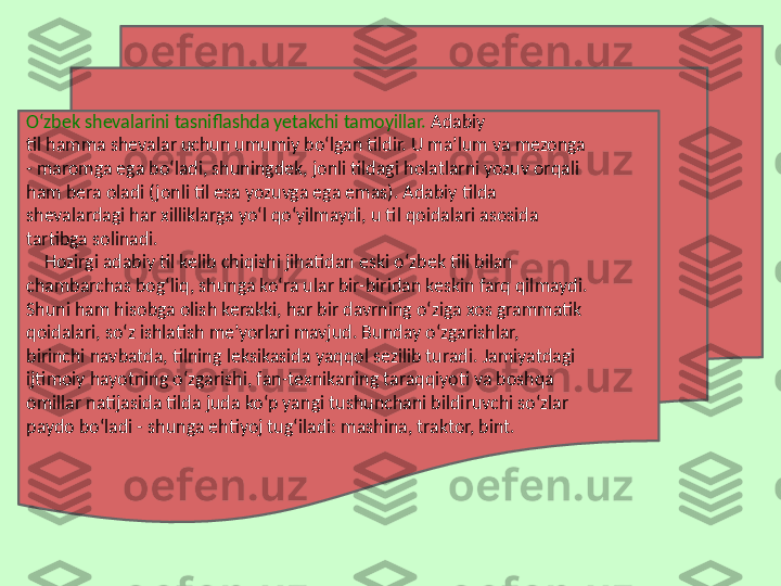 O‘zbek shevalarini tasniflashda yetakchi tamoyillar.  Adabiy  
til hamma shevalar uchun umumiy bo‘lgan tildir. U ma’lum va mezonga  
- maromga ega bo‘ladi, shuningdek, jonli tildagi holatlarni yozuv orqali  
ham bera oladi (jonli til esa yozuvga ega emas). Adabiy tilda 
shevalardagi har xilliklarga yo‘l qo‘yilmaydi, u til qoidalari asosida  
tartibga solinadi. 
     Hozirgi adabiy til kelib chiqishi jihatidan eski o‘zbek tili bilan  
chambarchas bog‘liq, shunga ko‘ra ular bir-biridan keskin farq qilmaydi.  
Shuni ham hisobga olish kerakki, har bir davrning o‘ziga xos grammatik  
qoidalari, so‘z ishlatish me’yorlari mavjud. Bunday o‘zgarishlar, 
birinchi navbatda, tilning leksikasida yaqqol sezilib turadi. Jamiyatdagi  
ijtimoiy hayotning o‘zgarishi, fan-texnikaning taraqqiyoti va boshqa  
omillar natijasida tilda juda ko‘p yangi tushunchani bildiruvchi so‘zlar  
paydo bo‘ladi - shunga ehtiyoj tug‘iladi: mashina, traktor, bint. 