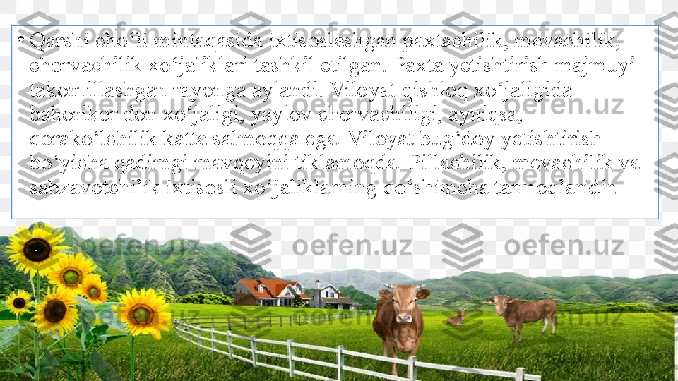 •
Qarshi cho‘li mintaqasida ixtisoslashgan paxtachilik, mevachilik, 
chorvachilik xo‘jaliklari tashkil etilgan. Paxta yetishtirish majmuyi 
takomillashgan rayonga aylandi. Viloyat qishloq xo‘jaligida 
bahorikor don xo‘jaligi, yaylov chorvachiligi, ayniqsa, 
qorako‘lchilik katta salmoqqa ega. Viloyat bug‘doy yetishtirish 
bo‘yicha qadimgi mavqeyini tiklamoqda. Pillachilik, mevachilik va 
sabzavotchilik ixtisosli xo‘jaliklarning qo‘shimcha tarmoqlaridir. 