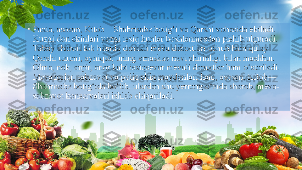 •
Paxta, asosan, Kitob—Shahrisabz botig‘i va Qarshi vohasida ekiladi. 
Kuzgi don ekinlari yozgi issiq kunlar boshlanmasdan pishib ulguradi. 
Tabiiy sharoit tok hamda danakli meva daraxtlari uchun ham qulay. 
Qarshi uzumi, ayniqsa, uning «maska» navi shirinligi bilan mashhur. 
Olma, nok, anjir, anor kabi issiqsevar mevali daraxtlar ham o‘stiriladi. 
Mevazorlar, sabzavot va poliz ekin maydonlari ham, asosan, Kitob—
Shahrisabz botig‘ida bo‘lib, ulardan shu yerning o‘zida sharob, meva-
sabzavot konservalari ishlab chiqariladi.  