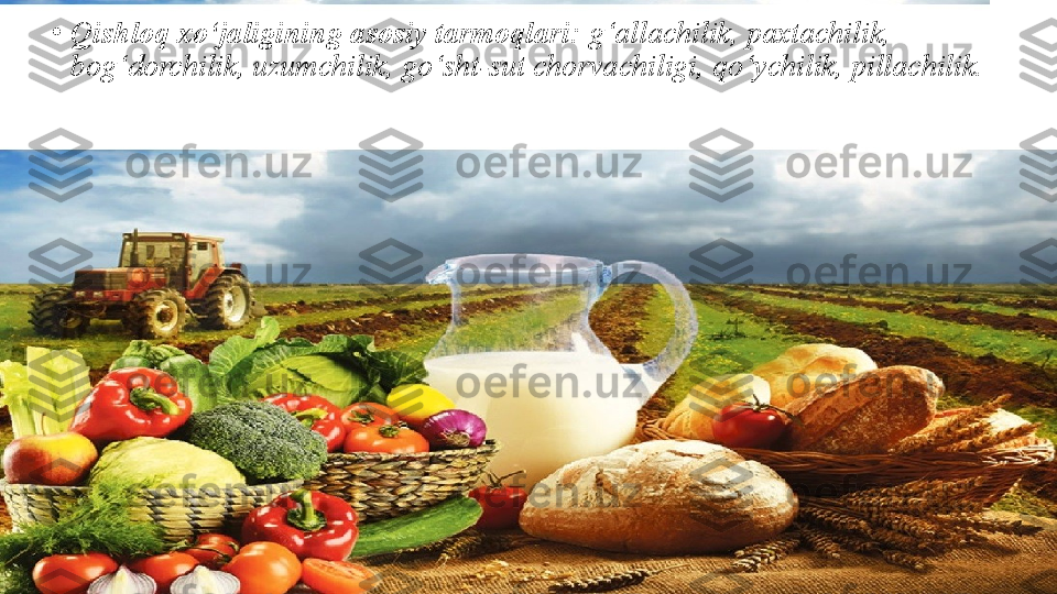 •
Qishloq xo‘jaligining asosiy tarmoqlari:  g‘allachilik, paxtachilik, 
bog‘dorchilik, uzumchilik, go‘sht-sut chorvachiligi, qo‘ychilik, pillachilik. 