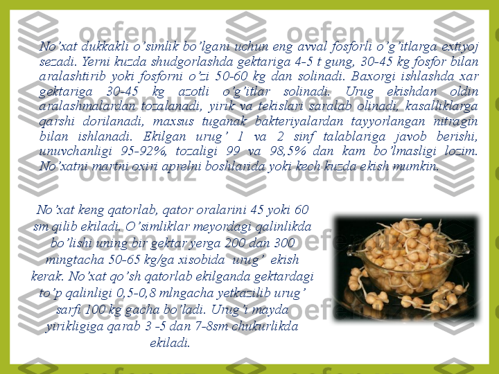 No ’ xat  dukkakli  o ’ simlik  bo ’ lgani  uchun  eng  avval  fosforli  o’ g ’ itlarga  extiyoj 
sezadi. Yerni kuzda shudgorlashda gektariga 4-5 t gung,   30-45 kg fosfor bilan 
aralashtirib  yoki  fosforni  o’ zi  50-60  kg  dan  solinadi.  Baxorgi  ishlashda  xar 
gektariga  30-45  kg  azotli  o’ g ’ itlar  solinadi.   Urug  e k ishdan  oldin 
aralashmalardan  tozalanadi,  yirik  va  tekislari  saralab  olinadi,  kasalliklarga 
q arshi  dorilanadi,  maxsus  tuganak  bakteriyalardan  tayyorlangan  nitragin 
bilan  ishlanadi.  Ekilgan  urug ’   1  va  2  sinf  talablariga  javob  berishi, 
unuvchanligi  95-92%,   tozaligi  99  va  98,5%  dan  kam  bo ’ lmasligi  lozim. 
No ’ xatni martni oxiri aprelni boshlarida yoki kech kuzda e k ish mumkin.
No ’ xat keng  q atorlab,  q ator oralarini 45 yoki 60 
sm  q ilib ekiladi. O ’ simliklar meyordagi  q alinlikda 
bo ’ lishi uning bir gektar yerga 200 dan 300 
mingtacha 50-65 kg/ga xisobida  urug ’     e k ish 
kerak. No ’ xat  qo’ sh  q atorlab ekilganda gektardagi 
t o’ p  q alinligi 0,5-0,8 mlngacha yetkazilib urug ’  
sarfi 100 kg gacha bo ’ ladi. Urug ’ i mayda 
yirikligiga qarab 3 -5 dan 7-8sm chukurlikda 
ekiladi.  