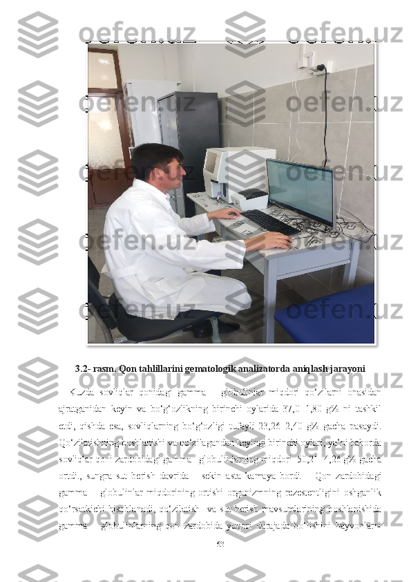           
3.2- rasm. Qon tahlillarini gematologik analizatorda aniqlash jarayoni
    Kuzda   sovliqlar   qonidagi   gamma   –   globulinlar   miqdori   qo‘zilarni   onasidan
ajratganidan   keyin   va   bo‘g‘ozlikning   birinchi   oylarida   37,0±1,80   g%   ni   tashkil
etdi,   qishda   esa,   sovliqlarning   bo‘g‘ozligi   tufayli   23,26±2,40   g%   gacha   pasaydi.
Qo‘zilatishning boshlanishi va qo‘zilagandan keyingi birinchi oylari, ya’ni bahorda
sovliqlar qoni zardobidagi gamma –globulinlarning miqdori  50,21±4,26 g% gacha
ortdi.,   sungra   sut   berish   davrida   –   sekin   asta   kamaya   bordi.       Qon   zardobidagi
gamma   –   globulinlar   miqdorining   ortishi   organizmning   rezestentligini   oshganlik
qo‘rsatkichi   hisoblanadi,   qo‘zilatish     va   sut   berish   mavsumlarining   boshlanishida
gamma   –   globulinlarning   qon   zardobida   yuqori   darajada   bo‘lishini   hayvonlarni
63  