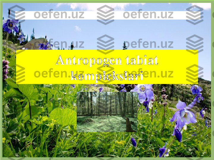 Antropogen tabiat  
komplekslari Бисмиллаҳир Роҳманир Роҳийм  