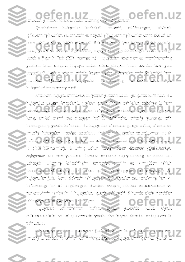 ichakdan yonbosh ichakka qarab ularning soni ortib boradn.
Qadahsimon   hujayralar   karboksil   tutuvchi,   sul’fatlangan,.   kislotali
glikozaminglikanlar, sialomutcin va neytral gliko-zamimglikanlar komplekslaridan
iborat   shilliq   sekret   ishlab   chiqaradi.   Sekret   bilan   to’lgan   hujayra   qadah   shaklini
oladi,   yadro   va   boshqa   organellalar,   hujayraning   ingichkalashgan   bazal   qismiga
qarab   siljigan   bo’ladi   (207-   rasmga   q.).   Hujayradan   sekret   apikal   membrananing
yorilishi   bilan   chiqadi.   Hujayra-lardan   sekret   chiqishi   bilan   sekretor   tcikl   yaia
qaytariladi.   Le-kin   sekreti   chiqib   ketgan   ayrim   hujayralar   emirilib   ketishi   ham
mumkin.   Qadahsimon   hujayralar   kriptalarning   differentci-allashmagan
hujayralaridan taraqqiy etadi.
Endokrin hujayralar maxsus bo’yoqlar yordamida bo’-yalganda ko’rinadi. Bu
hujayralar   asosan   kriptalarda   joylash-gan   bo’lib,   vorsinkalar   epiteliysida   ham
uchrab   turadi.   Kumush   tuzlari   bilan   bo’yalganda   endokrin   hujayralarning   asosi
keng,   apikal   qismi   esa   toraygan   bo’lib,   ko’pincha,   epiteliy   yuzasiga   etib
bormaganligi   yaxshi   ko’rinadi.   Bu   hujayralar   o’simtalarga   ega   bo’lib,   o’simtalari
epiteliy   hujayralari   orasiga   tarqaladi.   Endokrin   hujayralar   tcitoplazmasi   oqish
bo’lib, o’zining bazal qismida ko’plab sekret donachalari tutishi bilan ajralib tura-
di   (208-209-rasmlar).   SHuning   uchun   ba’zan   bazal   donabor   (Qul’chitckiy)
hujayralar   deb   ham   yuritiladi.   Ichakda   endokrin   hujayralarning   bir   necha   turi
uchraydi.   Ularning   ko’pchiligini   serotonin,   motilin   va   R-moddani   ishlab
chiqaruvchi   EC-   hujay-ralar   tashkil   qiladi.   Enteroglyukagon   ishlaydigan   A-
hujayra-lar   juda   kam.   Sekretin   ishlaydigan   S-hujayralar   esa   ichakning   har   xil
bo’limlariga   bir   xil   tarqalmagan.   Bundan   tashqari,   ichakda   xoletcistokinin   va
pankreozimin   ishlovchi   1-hujayralar,   gastrin   ishlovchi   S-hamda   aktiv   peptidlar
ishlaydigan D va D
r  hujayralar topilgan.
Hujayralar   tcilindrsimon   bo’lib,   apikal   yuzasida   kalta,   siyrak
mikrovorsinkalar   va   tcitoplazmasida   yaxshi   rivojlangan   donador   endoplazmatik
to’r tutadi.
«Tukli»   yoki   tutamli   hujayralar   (tuft   cells)   lim-foid   follikullari   sohasidagi
epiteliyda   uchrab,   noksimon   ko’-rinishga   ega.   Bu   hujayralarning   apikal   yuzasida 