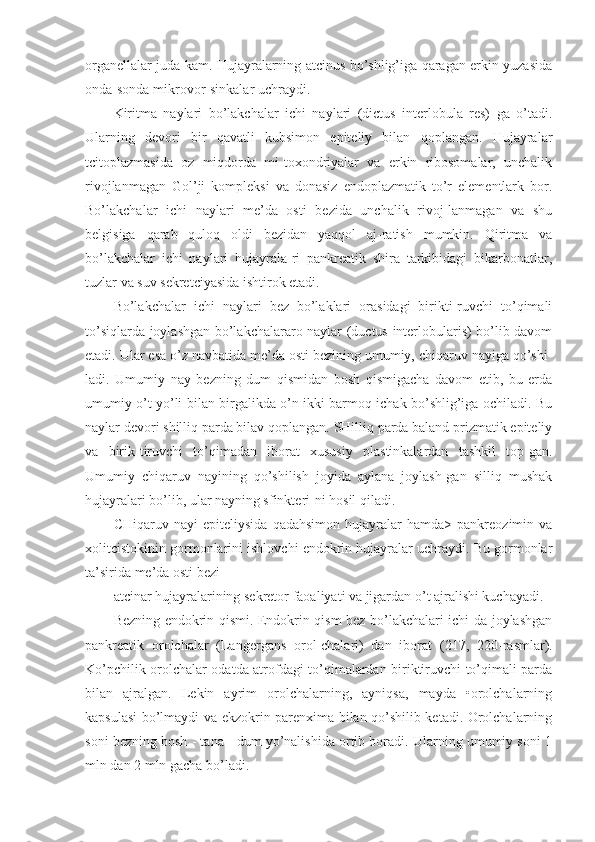 organellalar juda kam. Hujayralarning atcinus bo’shlig’iga qaragan erkin yuzasida
onda-sonda mikrovor-sinkalar uchraydi.
Kiritma   naylari   bo’lakchalar   ichi   naylari   (dictus   interlobula   res)   ga   o’tadi.
Ularning   devori   bir   qavatli   kubsimon   epiteliy   bilan   qoplangan.   Hujayralar
tcitoplazmasida   oz   miqdorda   mi-toxondriyalar   va   erkin   ribosomalar,   unchalik
rivojlanmagan   Gol’ji   kompleksi   va   donasiz   endoplazmatik   to’r   elementlark   bor.
Bo’lakchalar   ichi   naylari   me’da   osti   bezida   unchalik   rivoj-lanmagan   va   shu
belgisiga   qarab   quloq   oldi   bezidan   yaqqol   aj-ratish   mumkin.   Qiritma   va
bo’lakchalar   ichi   naylari   hujayrala-ri   pankreatik   shira   tarkibidagi   bikarbonatlar,
tuzlar va suv sekretciyasida ishtirok etadi.
Bo’lakchalar   ichi   naylari   bez   bo’laklari   orasidagi   birikti-ruvchi   to’qimali
to’siqlarda joylashgan bo’lakchalararo naylar (ductus interlobularis) bo’lib davom
etadi. Ular esa o’z navbatida me’da osti bezining umumiy, chiqaruv nayiga qo’shi-
ladi.   Umumiy   nay   bezning   dum   qismidan   bosh   qismigacha   davom   etib,   bu   erda
umumiy o’t yo’li bilan birgalikda o’n ikki barmoq ichak bo’shlig’iga ochiladi. Bu
naylar devori shilliq parda bilav qoplangan. SHilliq parda baland prizmatik epiteliy
va   birik-tiruvchi   to’qimadan   iborat   xususiy   plastinkalardan   tashkil   top-gan.
Umumiy   chiqaruv   nayining   qo’shilish   joyida   aylana   joylash-gan   silliq   mushak
hujayralari bo’lib, ular nayning sfinkteri-ni hosil qiladi.
CHiqaruv   nayi   epiteliysida   qadahsimon   hujayralar   hamda>   pankreozimin   va
xolitcistokinin gormonlarini ishlovchi endokrin hujayralar uchraydi. Bu gormonlar
ta’sirida me’da osti bezi
atcinar hujayralarining sekretor faoaliyati va jigardan o’t ajralishi kuchayadi.
Bezning endokrin qismi. Endokrin qism bez bo’lakchalari ichi-da joylashgan
pankreatik   orolchalar   (Langergans   orol-chalari)   dan   iborat   (217,   220- rasmlar).
Ko’pchilik orolchalar odatda atrofdagi to’qimalardan biriktiruvchi to’qimali parda
bilan   ajralgan.   Lekin   ayrim   orolchalarning,   ayniqsa,   mayda   •orolchalarning
kapsulasi bo’lmaydi va ekzokrin parenxima bilan qo’shilib ketadi. Orolchalarning
soni bezning bosh - tana - dum yo’nalishida ortib boradi. Ularning umumiy soni 1
mln dan 2 mln gacha bo’ladi. 