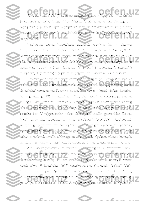 Pankreatik orolchalar (Insulae pancreaticae) endokrin hujayralar- insulotcitlar
(insulocyti) dan tashkil topgan. Ular o’rtasida fenestr-langan sinusoid tipidagi qon
kapilyarlari   joylashadi.   Qon   kapilyar-lari   atrofida   perikapillyar   bo’shliq   bo’lib,
insulyar   i   ormonlar   avva-lo   shu   bo’shliqqa,   so’ngra   kapillyarlar   devori   orqali
qonga tushadi.
Insulotcitlar   atcinar   hujayralarga   qaraganda   kichikroq   bo’-lib,   ularning
tcitoplazmasida donador endoplazmatik to’r o’rtacha rivojlangan bo’lsa-da, Gol’ji
kompleksi   yaxshi   rivojlangan,   mayda   mitoxondriyalar   va   sekret   donachalari   ko’p
(220-rasm). Sekret donachalarining fizik-kimyoviy va morfologik xususiyat-lariga
qarab   insulotcitlarning   5   turi   farqlanadi:   V-   (bazo-fil)   hujayralar,   A-   (atcidofil)
hujayralar, D- (dendritik) hujayralar, Di-(argirofil) hujayralar va RR-hujayralar.
Pankreatik   orolchalar   hujayralarining   ko’pchiligini   (70-   75%)   V-hujayralar
tashkil qiladi. Ular asosan orolcha marka-zida joylashadi. V-hujayralarning sekret
donachalari   suvda   erimaydi,   ammo   spirtda   butunlay   erib   ketadi.   Sekret   donacha-
larining   kattaligi   275   nm   atrofida   bo’lib,   ular   bazofillik   xususiyatiga   ega   va
al’degidfuksin, gentcian fiolet bilan ko’k rangga bo’yaladi. Sekret donachalarining
o’rab   turgan   membranasi   bilan   ichidagi   moddasi   orasida   keng   yorug’   gardish
(oreola)   bor.   V-hujayralarning   sekret   donachalari   insulin   gormonidan   ibo-rat.
Insulin   to’qimalar   hujayralari   tomonidan   glyukozani   o’zlashtirishni   kuchaytiradi
va   qondagi   qand   miqdorini   kamay-tiradi.   Uzlashtirilgan   glyukoza   hujayralarda,
ayniqsa, jigar va mushak hujayralarida glikogenga aylanadi va to’planadi. SHuning
uchun organizmda insulin etishmaganda to’qimalarda glyukoza miqdori kamayib,
qonda uning miqdori ko’payib ketadi, Bu esa qandli diabet kasalligiga olib keladi.
A-hujayralar   pankreatik   orolchalar   hujayralarining   15-   20   protcentini   tashkil
qiladi va ular ko’pincha orolchaning chek-kalarida joylashadi. Bu hujayralar sekret
donachalarining   kattaligi   230   nm   atrofida   bo’lib,   ular   spirtda   erimaydi,   ammo
suvda   eriydi.   V-donachalar   oksifil   xususiyatga   ega,   shu   sababli   kislotali   fuksin
bilan och qizil rangga bo’yaladi. V-hujayralar sekret donachalaridan farqli o’laroq,
A-donachalarning qoram-tir markazi bilan uni o’rab turgan membranasi orasidagi
yorug’ gardish (oreola) tor bo’ladi. A-hujayralar sekret  donachalari-da glyukogon 