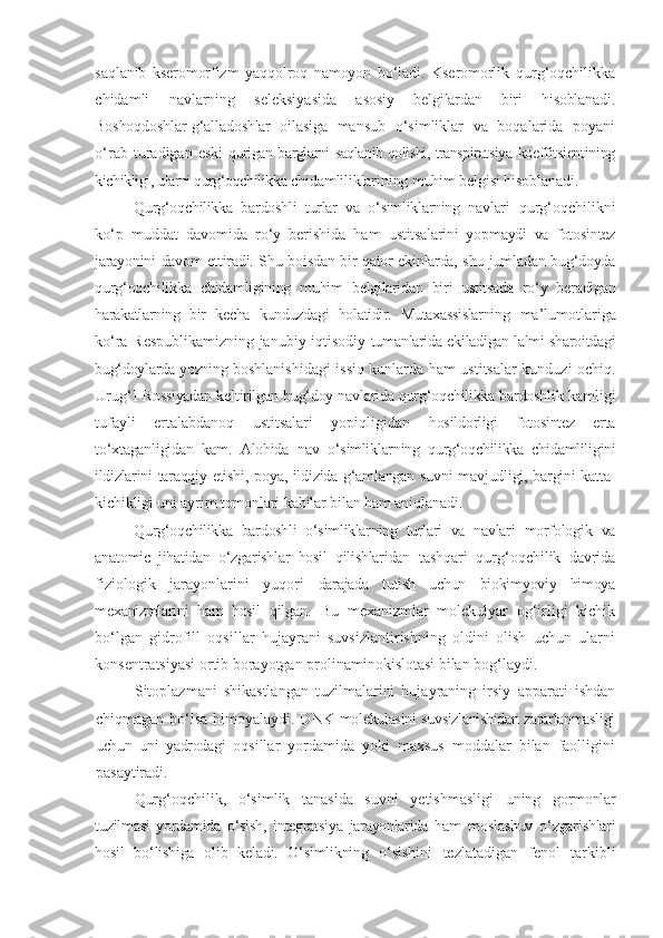 saqlanib   kseromorfizm   yaqqolroq   namoyon   bo‘ladi.   Kseromorlik   qurg‘oqchilikka
chidamli   navlarning   seleksiyasida   asosiy   belgilardan   biri   hisoblanadi.
Boshoqdoshlar-g‘alladoshlar   oilasiga   mansub   o‘simliklar   va   boqalarida   poyani
o‘rab  turadigan  eski   qurigan   barglarni   saqlanib qolishi,   transpiratsiya   koeffitsientining
kichikligi,  ularni  qurg‘oqchilikka  chidamliliklarining muhim belgisi hisoblanadi.
Qurg‘oqchilikka   bardoshli   turlar   va   o‘simliklarning   navlari   qurg‘oqchilikni
ko‘p   muddat   davomida   ro‘y   berishida   ham   ustitsalarini   yopmaydi   va   fotosintez
jarayonini davom ettiradi. Shu boisdan bir qator ekinlarda, shu jumladan bug‘doyda
qurg‘oqchilikka   chidamligining   muhim   belgilaridan   biri   ustitsada   ro‘y   beradigan
harakatlarning   bir   kecha   kunduzdagi   holatidir.   Mutaxassislarning   ma’lumotlariga
ko‘ra Respublikamizning janubiy iqtisodiy   tumanlarida ekiladigan lalmi sharoitdagi
bug‘doylarda yozning  boshlanishidagi issiq kunlarda ham ustitsalar kunduzi ochiq.
Urug‘I   Rossiyadan keltirilgan bug‘doy navlarida qurg‘oqchilikka bardoshlik   kamligi
tufayli   ertalabdanoq   ustitsalari   yopiqligidan   hosildorligi   fotosintez   erta
to‘xtaganligidan   kam.   Alohida   nav   o‘simliklarning   qurg‘oqchilikka   chidamliligini
ildizlarini taraqqiy   etishi, poya, ildizida g‘amlangan suvni  mavjudligi, bargini katta-
kichikligi uni ayrim tomonlari kabilar bilan ham aniqlanadi.
Qurg‘oqchilikka   bardoshli   o‘simliklarning   turlari   va   navlari   morfologi k   va
anatomic   jihatidan   o‘zgarishlar   hosil   qilishlaridan   tashqari   qurg‘oqchilik   davrida
fiziologi k   jarayonlarini   yuqori   darajada   tutish   uchun   biokimyoviy   himoya
mexanizmlarini   ham   hosil   qilgan.   Bu   mexanizmlar   molekulyar   og‘irligi   kichik
bo‘lgan   gidrofill   oqsillar   hujayrani   suvsizlantirishning   oldini   olish   uchun   ularni
konsentratsiyasi ortib borayotgan prolinaminokislotasi bilan bog‘laydi.
Sitoplazmani   shikastlangan   tuzilmalarini   hujayraning   irsiy   apparati   ishdan
chiqmagan   bo‘lsa   himoyalaydi. DNK   molekulasini suvsizlanishidan zararlanmasligi
uchun   uni   yadrodagi   oqsillar   yordamida   yoki   maxsus   moddalar   bilan   faolligini
pasaytiradi.
Qurg‘oqchilik,   o‘simlik   tanasida   suvni   yetishmasligi   uning   gormonlar
tuzilmasi   yordamida   o‘sish,   integratsiya   jarayonlarida   ham   moslashuv   o‘zgarishlari
hosil   bo‘lishiga   olib   keladi.   O‘simlikning   o‘sishini   tezlatadigan   fenol   tarkibli 