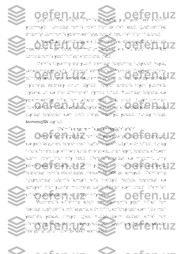 Qurg‘oqchilikka   chidamli   o‘simliklar   qurg‘oq,   yog‘ingarchiliksiz   sharoitni
yoqtirmaydi.   Tuproqdagi   namlik   ortishi   bilan   tez   o‘sib   ketadi.   Qurg‘oqchilikka
chidamligi ularni namlik yetishmovchiligiga  bardosh bera olishi bilan ifodalanadi.
4.   Mezofitlar .   Kserofitlarga   xos   qurg‘oqchilikka   chidashga   doir   fiziologik
mexanizmlar   mezofitlarga   ham   ma’lum   darajada   xos.   Bu   guruh   o‘simliklar
tuproqda namlik yetarli bo‘lgan sharoitlarda o‘sadi.
O‘simlik   poyasining   eng   yuqori   qismidagi   barglarning   hujayralari   mayda,
ustitsalarining   soni ko‘p, o‘lchamlari kichik bo‘ladi. Yaproqda o‘tkazuvchi to‘qima
qalin   joylashadi,   mezodermada   ustunsimon   to‘qima   qalinroq.   Bunday   tartibdagi
joylanishga   Zelenskiy   qonuni   deyiladi.   Barglar   qanchalik   poyani   yuqorisida
joylashsa   uni   suv   bilan   ta’minlanishi   qiyinroq   bo‘ladi.   Yuqoridagi   barglarda   suv
yetishmovchiligi   bo‘lsa   ham   ustitsalar   ochiq   holda   qoladi.   Bu   bir   tomondan
fotosintezni   ta’minlasa,   ikkinchi   hujayrasi   shirasining   konsentratsiyasini   ortishiga
quyidagi   barglardan   suvni   tortib   olishga   imkoniyat   yaratadi.   Bunday   holatga
kseromorflik  deyiladi.
O‘simliklarga namlik yetishmasligini ta’siri
O‘simlikning   to‘qimalarida   namlikni   yetishmasligi   ildiz   orqali   tuproqdan
suv yetib kelgunicha barglar orqali bug‘lanib   ketishi tufayli sodir bo‘ladi. Bunday
holat ko‘pincha quyoshli issiq  kunda choshgoxda, undan keyin, barglarda so‘ruvchi
kuchni   ortishi   bilan   ro‘y   beradi.   O‘simlik   tanasidagi   suv   miqdorini,   uning
ye tishmovchiligini   ustitsalarni   ochilib   yopilishi   bilan   nazorat   qiladi.   Bu   davrda
barglardagi   namlik   ertalabdagiga   nisbatan   25- 28%   ga   kamayadi.   O‘simlikning
hujayralaridagi   turgorlik   kamayib   so‘la   boshlaydi.   Natijada   barglardagi   suv
kamayishi   bilan   yuqorigi   motorishga   tushib   ildizdan   suvni   tortadi.   O‘simlikni
so‘lishi kuchaysa uni halokati, qurishi ro‘y beradi.
Vaqtinchalik   so‘lishning   sababi   tuproqda   namlik   yetarli   bo‘lsah   h am
havodagi qurg‘oqchilik ortib ketganda sodir  bo‘lib, sarflanayotgan suvni ildiz orqali
yetarlicha   yetkaza   olmaydi.   Qisqa   muddat   davom   etadigan   so‘lish   ham
o‘simlikning   mahsuldorligini   kamaytiradi,   zero   turgorlik   yo‘qolganda   ustitsalar
bekilganligi uchun fotosintez keskin sekinlashadi. 