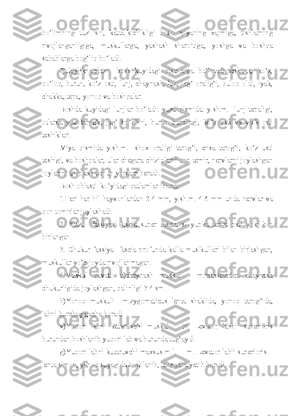 bo’limning   tuzilishi,   katta-kichikligi   bosh   miyaning   xajmiga,   tishlarning
rivojlanganligiga,   muskullarga,   yashash   sharoitiga,   yoshga   va   boshqa
sabablarga bog’liq bo’ladi.
Qulaylik   uchun     bosh   kuyidagi   qismlarga   bo’linadi-peshona,   ko’z,
qo’loq,   burun,   ko’z   osti,   lunj,   chaynash,   lab,   jag’   oralig’i,   quloq   oldi,   iyak,
chakka, tepa, yonoq va boshqalar.
Boshda   kuyidagi   lunjlar   bo’ladi:   yuza   qismida:   y.sh.m.-   lunj   tepaligi,
otlarda   yuz   tarog’i,   jag’   bo’g’ini,   burun   burchagi,   ko’z   osti   va   yaik   osti
teshiklari.
Miya   qismida   y.sh.m.-   shox   oraligi   tarog’i,   ensa   tarog’i,   ko’z   usti
teshigi, va boshqalar, ular chegara chiziqlarni qon temir, nervlarni joylashgan
joylarini aniqlash uchun yordam beradi.
Bosh oblasti  ko’yidagi qatlamlar iborat:
1.Teri-har   hil   hayvonlardan   2-4   mm,   y.sh.m.-4-6   mm   unda   nervlar   va
qon tomirlar joylashadi.
2.   Yuza     fassiyasi-fascia   super   fascialis-   yupka   terim   osti   yoki   b-n
birlangan.
    3.   Chukur   fassiya-   fascia   profunda   kalla   muslkullari   bilan   birlashgan,
muskullar yo’q joyda rivojlanmagan.
4.Muskul   qavati:   a)chaynash   muskul   –   m.masseterica   chaynash
chukurligida joylashgan, qalinligi 3-4 sm.
b)Yonoq   muskuli   –m.zygomaticus   lenta   shaklida,   yonoq   tarog’ida,
labni burchagigacha boradi.
v)Yuqori   labni   kutaruvchi   muskul   –   m.   Levator   labbii   superioris
burundan boshlanib yuqori lab va burunda tug’aydi.
g)Yuqori labni kutaruvchi maxsus m.l.- – m. Levator labii superioris –
lenta simon, yonoq suyagida boshlanib, labgacha yetib boradi. 