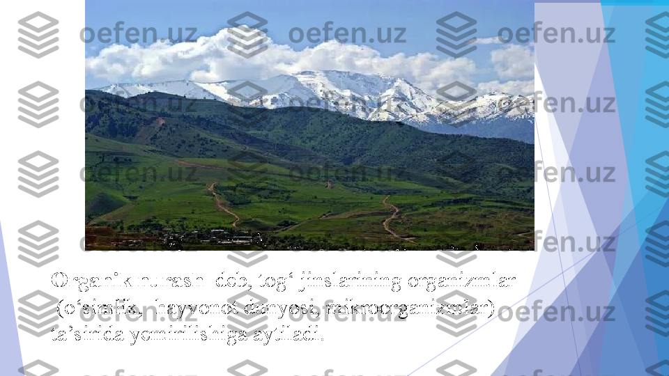 Organik nurash   deb, tog‘ jinslarining organizmlar 
 	
(o‘simlik, 	 hayvonot dunyosi, mikroorganizmlar) 
ta’sirida yemirilishiga aytiladi.           