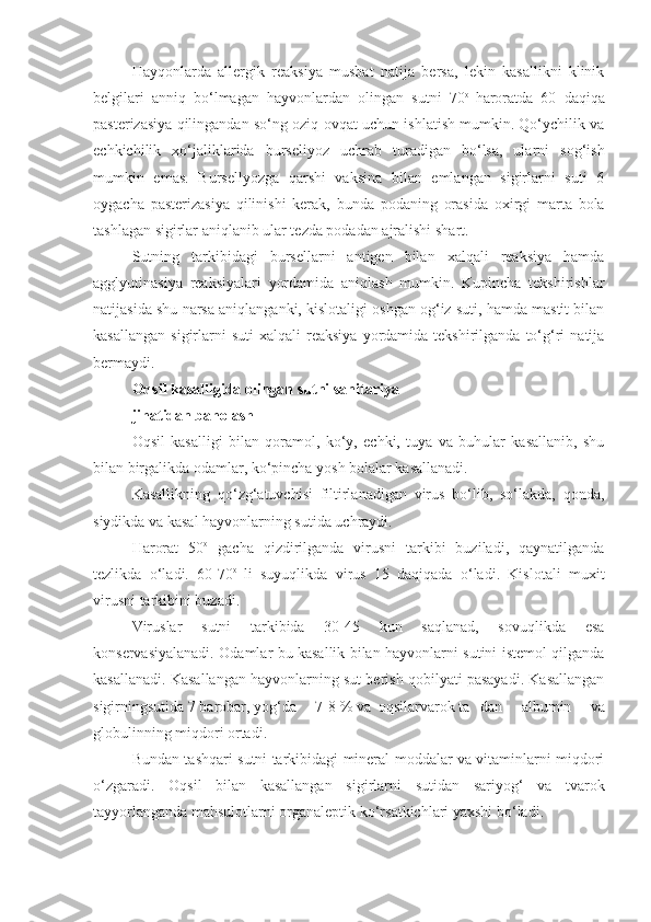 Hayqonlarda   allergik   reaksiya   musbat   natija   bersa,   lekin   kasallikni   klinik
belgilari   anniq   bo‘lmagan   hayvonlardan   olingan   sutni   70 o  
haroratda   60   daqiqa
pasterizasiya qilingandan so‘ng oziq-ovqat uchun ishlatish mumkin. Qo‘ychilik va
echkichilik   xo‘jaliklarida   burseliyoz   uchrab   turadigan   bo‘lsa,   ularni   sog‘ish
mumkin   emas.   Bursellyozga   qarshi   vaksina   bilan   emlangan   sigirlarni   suti   6
oygacha   pasterizasiya   qilinishi   kerak,   bunda   podaning   orasida   oxirgi   marta   bola
tashlagan sigirlar aniqlanib ular tezda podadan ajralishi shart.
Sutning   tarkibidagi   bursellarni   antigen   bilan   xalqali   reaksiya   hamda
agglyutinasiya   reaksiyalari   yordamida   aniqlash   mumkin.   Kupincha   tekshirishlar
natijasida shu narsa aniqlanganki, kislotaligi oshgan og‘iz suti, hamda mastit bilan
kasallangan   sigirlarni  suti   xalqali   reaksiya  yordamida  tekshirilganda  to‘g‘ri   natija
bermaydi. 
Oqsil kasalligida olingan sutni sanitariya
jihatidan baholash
Oqsil   kasalligi   bilan   qoramol,   ko‘y,   echki,   tuya   va   buhular   kasallanib,   shu
bilan birgalikda odamlar, ko‘pincha yosh bolalar kasallanadi. 
Kasallikning   qo‘zg‘atuvchisi   filtirlanadigan   virus   bo‘lib,   so‘lakda,   qonda,
siydikda va kasal hayvonlarning sutida uchraydi. 
Harorat   50 o
  gacha   qizdirilganda   virusni   tarkibi   buziladi,   qaynatilganda
tezlikda   o‘ladi.   60-70 o  
li   suyuqlikda   virus   15   daqiqada   o‘ladi.   Kislotali   muxit
virusni tarkibini buzadi.
Viruslar   sutni   tarkibida   30-45   kun   saqlanad,   sovuqlikda   esa
konservasiyalanadi. Odamlar bu kasallik bilan hayvonlarni sutini istemol qilganda
kasallanadi. Kasallangan hayvonlarning sut berish qobilyati pasayadi. Kasallangan
sigirningsutida 7 barobar, yog‘da     7-8 % va  oqsilarvarok ta dan   albumin   va
globulinning miqdori ortadi.
Bundan tashqari sutni tarkibidagi mineral moddalar va vitaminlarni miqdori
o‘zgaradi.   Oqsil   bilan   kasallangan   sigirlarni   sutidan   sariyog‘   va   tvarok
tayyorlanganda mahsulotlarni organaleptik ko‘rsatkichlari yaxshi bo‘ladi.  