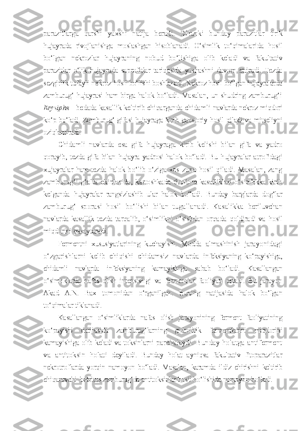 parazitlarga   qarshi   yaxshi   natija   beradi.   CHunki   bunday   parazitlar   tirik
hujayrada   rivojlanishga   moslashgan   hisoblanadi.   O‘simlik   to‘qimalarida   hosil
bo‘lgan   nekrozlar   hujayraning   nobud   bo‘lishiga   olib   keladi   va   fakultativ
parazitlar   o‘lik   hujayrada   saprofitlar   tariqasida   yashashni   davom   ettiradi.   Tezda
sezgirlik tufayli nekroz  hosil bo‘lishi boshlanadi. Nekroz hosil bo‘lgan hujayralarda
zamburug‘   hujayrasi   ham   birga   halok   bo‘ladi.   Masalan,   un   shudring   zamburug‘i
Erysiphe  - bedada kasallik keltirib chiqarganda chidamli  navlarda nekroz miqdori
ko‘p bo‘ladi. Zamburug‘ gifasi  hujayraga kirib   gaustoriy hosil  qiladi va mitseliyni
oziqlantiradi.
Chidamli   navlarda   esa   gifa   hujayraga   kirib   kelishi   bilan   gifa   va   yadro
qorayib,   tezda   gifa   bilan   hujayra   yadrosi   halok   bo‘ladi.   Bu   hujayralar   atrofidagi
xujayralar   ham   tezda   halok   bo‘lib   o‘ziga   xos   zona   hosil   qiladi.   Masalan,   zang
zamburug‘i   g‘alla   ekinlarida,   kartoshkada  fitoftora kasalliklari  o‘simlikka kirib
kelganda   hujayralar   rangsizlashib   ular   halok   bo‘ladi.   Bunday   barglarda   dog‘lar
zamburug‘   sporasi   hosil   bo‘lishi   bilan   tugallanadi.   Kasalikka   beriluvchan
navlarda   kasallik   tezda   tarqalib,   o‘simlikni   o‘sishdan   orqada   qoldiradi   va   hosil
miqdorini pasaytaradi.
Fermentni   xususiyatlarining   kuchayishi.   Modda   almashinish   jarayonidagi
o‘zgarishlarni   kelib   chiqishi   chidamsiz   navlarda   infeksiyaning   ko‘payishiga,
chidamli   navlarda   infeksiyaning   kamayishiga   sabab   bo‘ladi.   Kasallangan
o‘simliklarda   nafas   olish   intensivligi   va   fermentlar   faoliyati   ortadi.   Bu   jarayon
Akad   A.N.   Bax   tomonidan   o‘rganilgan.   Buning   natijasida   halok   bo‘lgan
to‘qimalar tiklanadi.
Kasallangan   o‘simliklarda   nafas   olish   jarayonining   ferment   faoliyatining
ko‘payishi   natijasida   zamburug‘larning   gidrolitik   fermentlarini   miqdorini
kamayishiga olib keladi va toksinlarni   parchalaydi.   Bunday   holatga   antiferment
va   antitoksin   holati   deyiladi.   Bunday   holat   ayniqsa   fakultativ   fitoparazitlar
n ekrotroflarda   yorqin   namoyon   bo‘ladi.   Masalan,   karamda   ildiz   chirishni   keltirib
chiqaruvchi  botritus zamburug‘da antitoksinlar hosil  bo‘lishida namoyon bo‘ladi. 