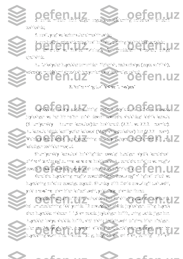 5.   qonda   miqdori   ortib   ketgan   organik   moddalarning   ortiqchasini   chiqarib
tashlashda;
6. oqsil, yog’ va karbonsular almashinuvida; 
7. qon bosimi, eritrositlarning hosil bo’lishi, qonning ivishini boshqarishda; 
8.   fermentlar   va   boshqa   fiziologik   faol   moddalarni   sintezlab,   qonga
ajralishida.
Bu funksiyalar buyraklar tomonidan filtrlanish, reabsorbsiya (qayta so’rilish),
sekresiya moddalarni sintezlash jarayonlari asosida amalga oshadi.
3. Nefronning tuzilishi va funksiyasi
Buyrakning   asosiy   tuzilma   birligi   nefron   deyiladi.   U   po‘stloq   qavatda
joylashgan   va   har   bir   nefron   qo‘sh   devorli   tovoqcha   shaklidagi   kichik   kapsula
(SHumlyanskiy   –   Boumen   kapsulasi)dan   boshlanadi.   (7.3.1.   va   7.3.2.   -   rasmlar).
Bu  kapsula  ichida  kapillyarlar  kalavasi   (Malpish  koptokchasi)   bor   (7.3.3  -  rasm).
Malpigiy   koptokchasi   kapillyarlarining   endotliy   hujayralirida   diametri   0.1   mk
keladigan teshiklar mavjud.
Shumlyanskiy   kapsulasi   bo’shlig’idan   avvalgi   buralgan   siydik   kanalchasi-
birinchi tartibdagi burma kanalcha  boshlanadi. Bu qanalcha po’stloq va mag’iz
qavatlari orasidagi chegaraga yetgach torayadi va to’g’rilanadi.
Kanalcha   buyrakning   mag’iz   qavatida   Genle   qovuzlog’ini   hg’osil   qiladi   va
buyrakning po’stloq qavatiga  qaytadi. Shunday qilib Genle qovuzlog’i  tushuvchi,
yoki  proksimal  qism bilan ko’tariluvchi, yoki  distal  qismdan iborat.
Buyraklar bur juft bo’lib, bel sohasida qorin bo’shlig’i pardasidan tashqarida
bel   umurtqalarining   ikki   yonida   12-qovurg’alar   oldida   joylashgan.   O’ng   buyrak
chap buyrakka nisbatan 1-1,5 sm pastda joylashgan bo’lib, uning ustida jigar bor.
Buyraklar   loviya   shaklda   bo’lib,   sirti   pishiq   biriktiruvchi   to’qima   bilan   o’ralgan.
Ular   atrofida   yog’   bo’lib,   buyrakni   silkinishdan,   turtkilardan   saqlaydi.   Har   bir
buyrakning   vazni   o’rta   hisobda   150   g,   bo’yi   12   sm,   eni   6   sm,   qalinligi   -   3-4   sm 