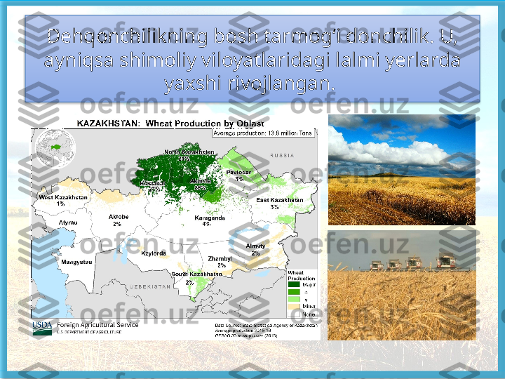 Dehqonchilikning bosh tarmog‘i donchilik. U, 
ayniqsa shimoliy viloyatlaridagi lalmi yerlarda 
yaxshi rivojlangan.    