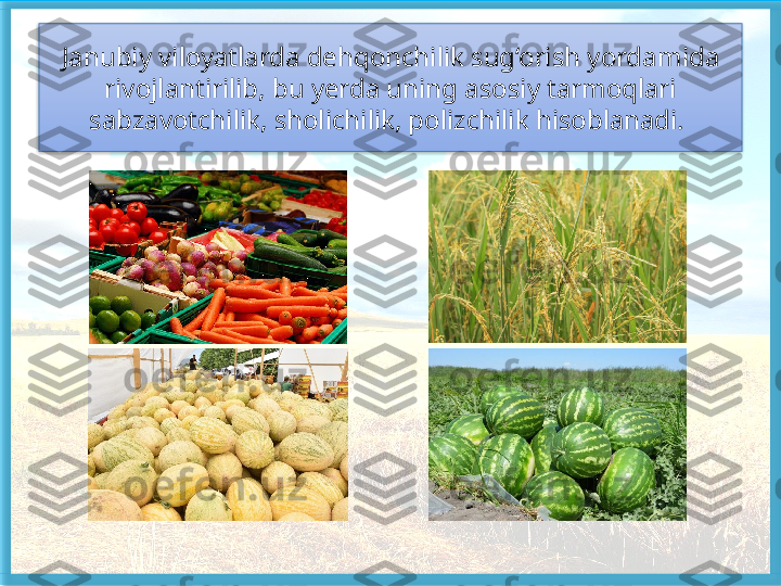 Janubiy viloyatlarda dehqonchilik sug‘orish yorda mida 
rivojlantirilib, bu yerda uning aso	
 siy tarmoqlari 
sabzavotchilik, sholichilik, polizchilik hisoblanadi.    