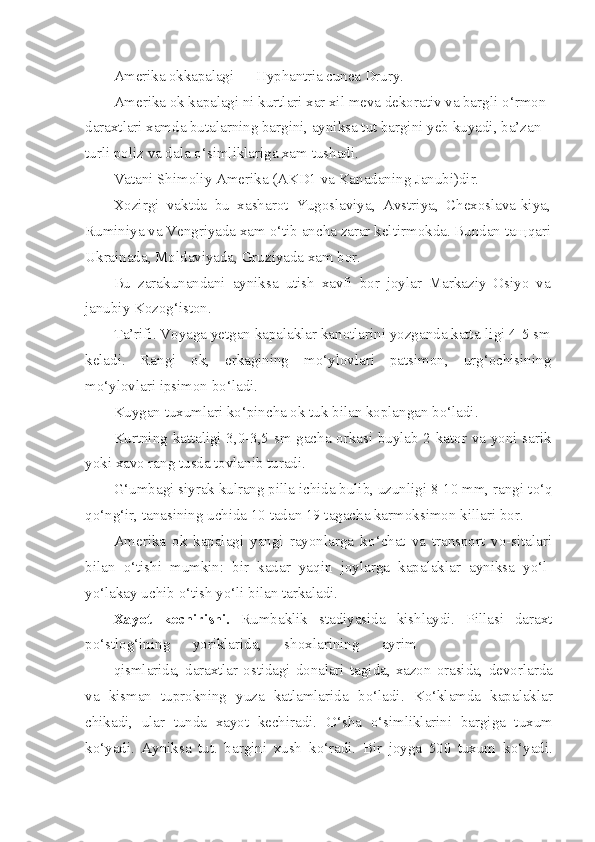 Amerika okkapalagi —  Hyphantria   cunea   Drury .
Amerika ok kapalagi ni kurtlari xar xil meva dekorativ va bargli  o‘ rmon 
daraxtlari xamda butalarning bargini, ayniksa tut bargini yeb ku ya di, ba’zan 
turli poliz va dala  o‘ simliklariga xam tushadi.
Vatani Shimoliy Amerika (AKD1 va Kanadaning Janubi)dir.
Xozirgi   vaktda   bu   x a sharot   Yugoslaviya,   Avstriya,   Chexoslava-kiya,
Ruminiya va Vengriyada xam  o‘ tib ancha zarar keltirmokda. Bundan ta щ q ari
Ukrainada, Moldaviyada, Gruziyada xam bor.
Bu   zarakunandani   ayniksa   utish   xavfi   bor   joylar   Markaziy   Osiyo   va
janubiy K o zo g‘ iston.
Ta’rifi. Voyaga yetgan kapalaklar kanotlarini yozganda katta-ligi 4-5 sm
keladi.   Rangi   ok,   erkagining   m o‘ ylovlari   patsimon,   ur g‘ ochisining
m o‘ ylovlari ipsimon b o‘ ladi.
Kuygan tuxumlari k o‘ pincha ok tuk bilan koplangan b o‘ ladi.
Kurtning kattaligi 3,0-3,5 sm gacha orkasi buylab 2 kator va yoni sarik
yoki xavo rang tusda tovlanib turadi.
G‘ umbagi siyrak kulrang pilla ichida bulib, uzunligi 8-10 mm, rangi t o‘q
qo‘ n g‘ ir, tanasining uchida 10 tadan 19 tagacha karmoksimon killari bor.
Amerika   ok   kapalagi   yangi   rayonlarga   k o‘ chat   va   transport   vo-sitalari
bilan   o‘ tishi   mumkin:   bir   kadar   ya q in   joylarga   kapa laklar   ayniksa   y o‘ l-
y o‘ lakay uchib  o‘ tish y o‘ li bilan tarkaladi.
X ayot   kechirishi.   Rumbaklik   stadiyasida   kishlaydi.   Pillasi   daraxt
p o‘ stlo g‘ ining      yoriklarida,      shoxlarining      ayrim
q ismlarida,  daraxtlar  ostidagi  donalari   t agi d a, xazon  orasida,   devorlarda
va   kisman   tuprokning   yuza   katlamlarida   b o‘ ladi.   K o‘ klamda   kapalaklar
chikadi,   ular   tunda   xayot   kechiradi.   O‘ sha   o‘ simliklarini   bargiga   tuxum
k o‘ yadi.   Ayniksa   tut.   bargini   xush   k o‘ radi.   Bir   joyga   500   tuxum   k o‘ yadi. 