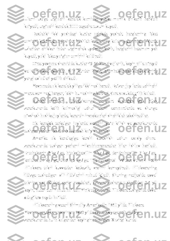 Ularni   ustiga   ur g‘ ochi   kapalak   kornidan   yupka   momik   chikarib   berkitib
k o‘ yadi, ur g‘ ochi kapa lak 2000 tagacha tuxum kuyadi.
Dastlabki   ikki   yoshdagi   kurtlar   ochikda   yashab,   barglarning   fakat
tomirini k o ldiradi. 3 yoshdan boshlab kurtlarning kolo-niyalari   o‘ simliklarda
uzlaridan chikkan  ipdan urgimchak uyalarini  kurib, barglarini  batamom  yeb
kuyadi, yoki fakat y o‘g‘ on to mirini koldiradi.
O‘ rta yevropa sharoitida kurtlar 45-54 kun rivojlanib, keyin pilla  o‘ raydi
va   Rumbakka   aylanadi.   8-14   kundan   keyin,   g‘ umbaklardan   kapalaklarning
yangi avlodlari yetilib chikadi.
Yevropada ok kapalak yiliga ikki na s l beradi. Ba’zan joy-larda uchinchi
marta xam na s l bergan, lekin bu na s lning kurtlari Kora sovukda  o‘ lib koladi.
Kurash   choralari.   O‘ zbekistonga   transport   vositalari   yuk   bi lan
zararkunanda   kelib   kolmasligi   uchun   ularni   aeroportlarda   va   shunga
o‘ xshash boshka joylarda, karantin inspektorlari sinchiklab tekshiradilar.
Ok   kapalak   tarkalgan   joylarda   xazonni   y o‘q   kilish   va   zarar kunanda
tushgan yerlarni kuzda shudgorlab k o‘ yish kerak.
Amerika   ok   kapalagiga   karshi   kurashish   uchun   asosiy   chora-
zararkunanda   tushgan   yerlarni   mikrobiopreparatlar   bilan   ishlov   beriladi.
Entobakterin 3  kg / ga,  bitoksibatsillin  2 kg  / ga,  dendrobatsillin  3 kg  / ga,
lepidotsid 1 kg / ga, dipel 0,5 kg / ga.  Tok fillokserasi — Viteus   vitiforlii   Fitch .
Filloksera   tokni   kuvvatdan   ketkazib,   xreilini   kamaytiradi.   Fillokseraning
ildizga   tushadigan   xili   ildizlarini   nobud   kiladi.   Shuning   natijasida   avval
tokning   yer   ostidagi   ayrim   novdalari,   s o‘ ngra   xasharot   tushgandan   2-6   yil
keyin, butun tupi  nobud b o‘ ladi. Yirik tokzorlarga filloksera tushganda avval
«do g‘ lar» paydo b o‘ ladi.
Fillokseraning vatani Shimoliy Amerikadir. 1860 yilda filloksera 
Yevropaga utgan. Taxminan  1872 yilda esa Rossiyaga utib, jiddiy 
zararkunanda bulib kolgandan keyingina topilgan. Xozirgi kunda  