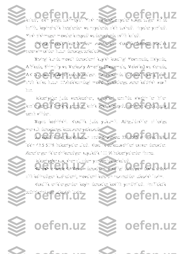 koladi,   lekin   yerga   tushmaydi.   Yosh   novdalar,   poyalar   suvga   tulgan   xolda
bo‘lib,   keyinchalik   barglardan   va   noyalarda   okib   tushadi.   Poyalar   yoriladi.
Yosh pishmagan mevalar k o rayadi va daraxtlarda osilib koladi.
Pishgan   mevalar   kamdan   kam   zararlanadi.   Kasallik   daraxtni   pustlok
parenximasidan butun daraxtga tarkaladi.
Xrzirgi   kunda   mevali   daraxtlarni   kuyish   kasalligi   Yevropada,   Osiyoda,
Afrikada, Shimoliy va Markaziy Amerika (Gvatema la, Meksika) va Kanada,
AKDL,  Janubiy   Amerikada  tarkalgan.  Uzbekistonda   bu  kasallik  y o‘q ,  lekin
o‘ tib   kolsa   butun   O‘ zbekistondagi   mevali   daraxtlarga   zarar   keltirish   xavfi
bor.
Bakteriyalar   juda   x a rakatchan,   xujayrani   atrofida   xivchin-lar   bilan
koplangan   0,7-1   mkm,   sporalar   kobik   xrsil   kilmaydi,   aerob   yoki   fakultativ
aerob xilidan.
Xayot   kechirishi.   Kasallik   juda   yukumli.   Atirguldoshlar   oi- lasiga
mansub daraxtlarga katta zarar yetkazadi.
Bu   kasallik   rivojlanish   uchun   optimal   xarorat   22°-25°S   mi-nimal   3°S,
lekin 43.5-50°S bakteriyalar uladi. Kasallik tarkatuvchilari asosan daraxtlar.
Zararlangan iklar chikaradigan suyukdik 100 % bakteriyalardan iborat.
Bakteriyalar suv, shamol, odam yordamida tarkaladi.
Kurash   choralari.   Mevali   daraxtlarni   kasalligi   tarkalgan   davlatlardan
olib kelinadigan kuchatlarni, mevalarni karantin nazoratidan utkazish lozim.
Kasallik   aniklangandan   keyin   daraxtlar   kesilib   yondiriladi.   Profilaktik
tadbirlarini xam utkazish lozim. 