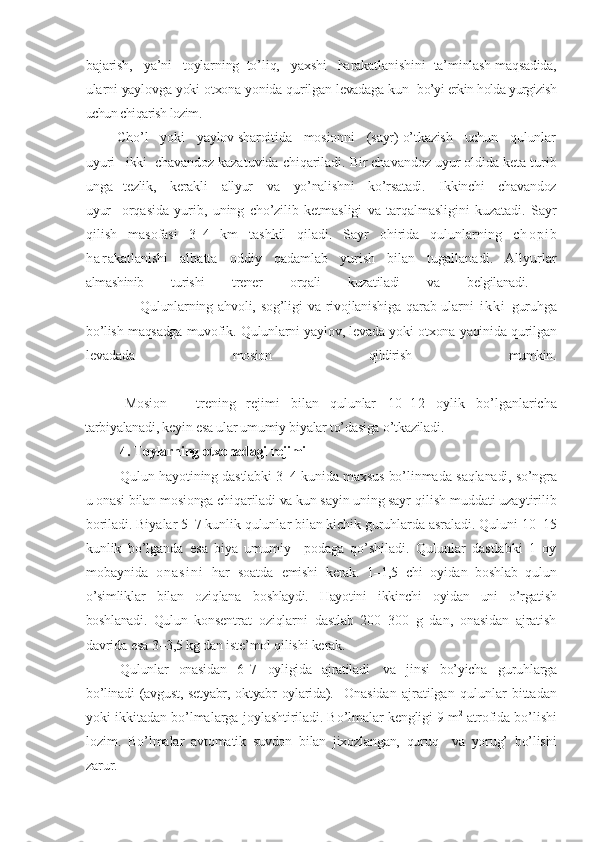 bajarish,   ya’ni   toylarning  to’liq,   yaxshi   harakatlanishini   ta’minlash maqsadida,
ularni yaylovga yoki otxona yonida qurilgan levadaga kun    bo’yi erkin holda yurgizish
uchun chiqarish lozim.
Cho’l   yoki   yaylov sharoitida   mosionni   (sayr) o’tkazish   uchun   qulunlar
uyuri   ikki   chavandoz kazatuvida chiqariladi. Bir chavandoz uyur oldida keta turib
unga    tezlik,     kerakli     allyur     va     yo’nalishni     ko’rsatadi.     Ikkinchi     chavandoz
uyur     orqasida   yurib,   uning   cho’zilib   ketmasligi   va   tarqalmasligini   kuzatadi.   Sayr
qilish   masofasi   3–4   km   tashkil   qiladi.   Sayr   ohirida   qulunlarning   c h o p i b
h a r akatlanishi   albatta   oddiy   qadamlab   yurish   bilan   tugallanadi.   Allyurlar
almashinib   turishi   trener   orqali   kuzatiladi   va   belgilanadi.  
                     Qulunlarning ahvoli, sog’ligi  va rivojlanishiga qarab ularni   i k k i   guruhga
bo’lish maqsadga muvofik.   Qulunlarni yaylov, levada yoki otxona yaqinida qurilgan
levadada   mosion   qildirish   mumkin.
Mosion   –   trening   rejimi   bilan   qulunlar   10–12   oylik   bo’lganlaricha
tarbiyalanadi, keyin esa ular umumiy biyalar to’dasiga o’tkaziladi.
4. Toylarning otxonadagi rejimi
Qulun hayotining dastlabki 3–4 kunida maxsus bo’linmada  saqlanadi, so’ngra
u onasi bilan mosionga chiqariladi va kun sayin uning sayr  qilish muddati uzaytirilib
boriladi. Biyalar 5–7 kunlik qulunlar bilan kichik guruhlarda asraladi. Quluni 10–15
kunlik   bo’lganda   esa   biya   umumiy     podaga   qo’shiladi.   Qulunlar   dastlabki   1   oy
mobaynida   o n a s i n i   har   soatda   emishi   kerak.   1–1,5   chi   oyidan   boshlab   qulun
o’simliklar   bilan   oziqlana   boshlaydi.   Hayotini   ikkinchi   oyidan   uni   o’rgatish
boshlanadi.   Qulun   konsentrat   oziqlarni   dastlab   200–300   g   dan,   onasidan   ajratish
davrida esa 3 –3,5 kg dan iste’mol qilishi kerak.
Qulunlar   onasidan   6–7   oyligida   ajratiladi    va   jinsi   bo’yicha    guruhlarga
bo’linadi  (avgust, setyabr, oktyabr  oylarida).    Onasidan   ajratilgan   qulunlar   bittadan
yoki ikkitadan bo’lmalarga  joylashtiriladi. Bo’lmalar kengligi 9 m 2
 atrofida bo’lishi
lozim.   Bo’lmalar   avtomatik   suvdon   bilan   jixozlangan,   quruq     va   yorug’   bo’lishi
zarur.  