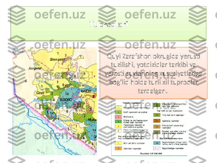 Tuproqlari
Quyi Zarafshon okrugida yerusti 
tuzilishi, yotqiziqlar tarkibi va 
yerosti suvlarining xususiyatlariga 
bog‘liq holda turli xil  tuproqlar 
tarqalgan.    