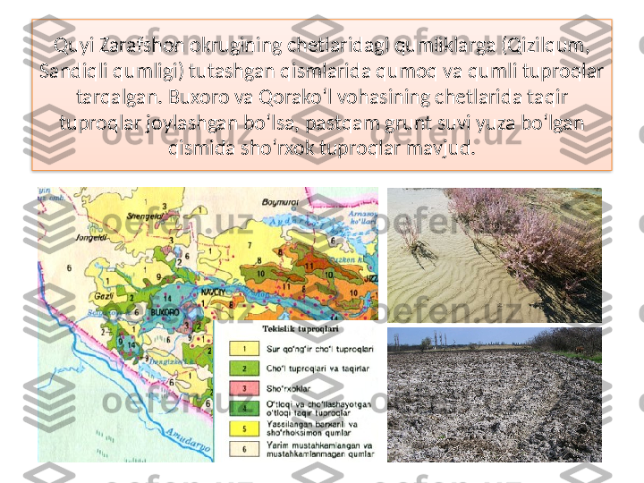 Quyi Zarafshon okrugining chetlaridagi qumliklarga (Qizilqum, 
Sandiqli qumligi) tutashgan qismlarida qumoq va qumli tuproqlar 
tarqalgan. Buxoro va Qorako‘l vohasining chetlarida taqir 
tuproqlar joylashgan bo‘lsa, pastqam grunt suvi yuza bo‘lgan 
qismida sho‘rxok tuproqlar mavjud.  