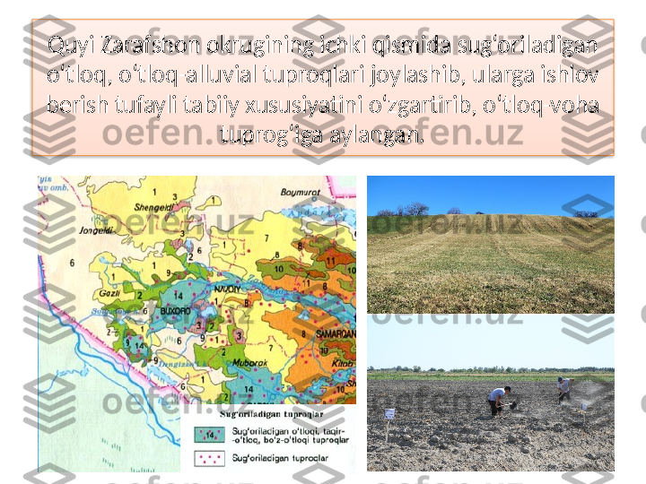 Quyi Zarafshon okrugining ichki qismida sug‘oriladigan
o‘tloq, o‘tloq-alluvial tuproqlari joylashib, ularga ishlov 
berish tufayli tabiiy xususiyatini o‘zgartirib, o‘tloq-voha 
tuprog‘iga aylangan.  