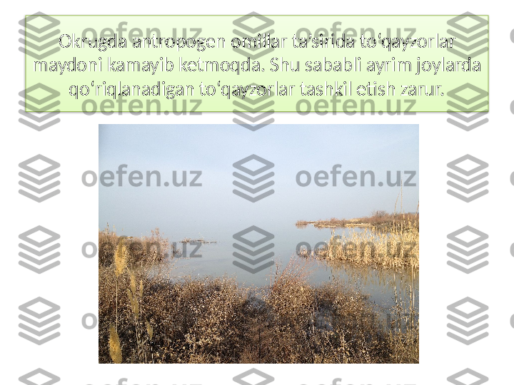 Okrugda antropogen omillar ta’sirida to‘qayzorlar 
maydoni kamayib ketmoqda. Shu sababli ayrim joylarda 
qo‘riqlanadigan to‘qayzorlar tashkil etish zarur.  