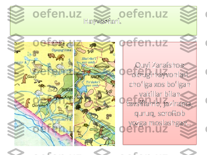 Hayvonlari. 
Quyi Zarafshon 
okrugi hayvonlari 
cho‘lga xos bo‘lgan 
vakillar bilan 
tavsiflanib, jazirama, 
quruq, seroftob 
yozga moslashgan..   