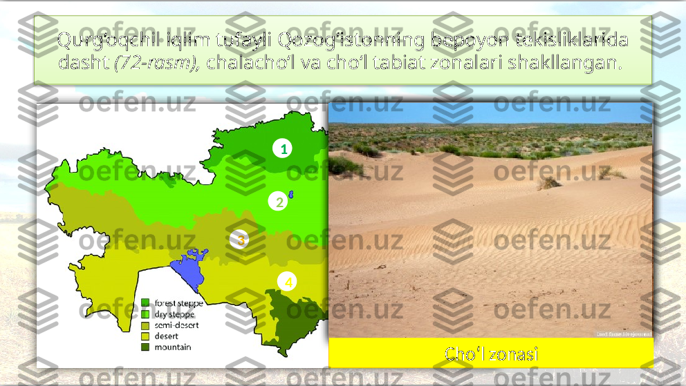 Qurg‘oqchil iqlim tufayli Qozog‘istonning bepoyon tekisliklarida 
dasht  (72-rasm),  chalacho‘l va cho‘l tabiat zonalari shakllangan. 
O‘rmon dasht
Quruq Dasht
Chalacho‘l
Cho‘l
Tog‘lar1
3
4
52
Dasht zonasiChalacho‘l zonasi Cho‘l zonasi       