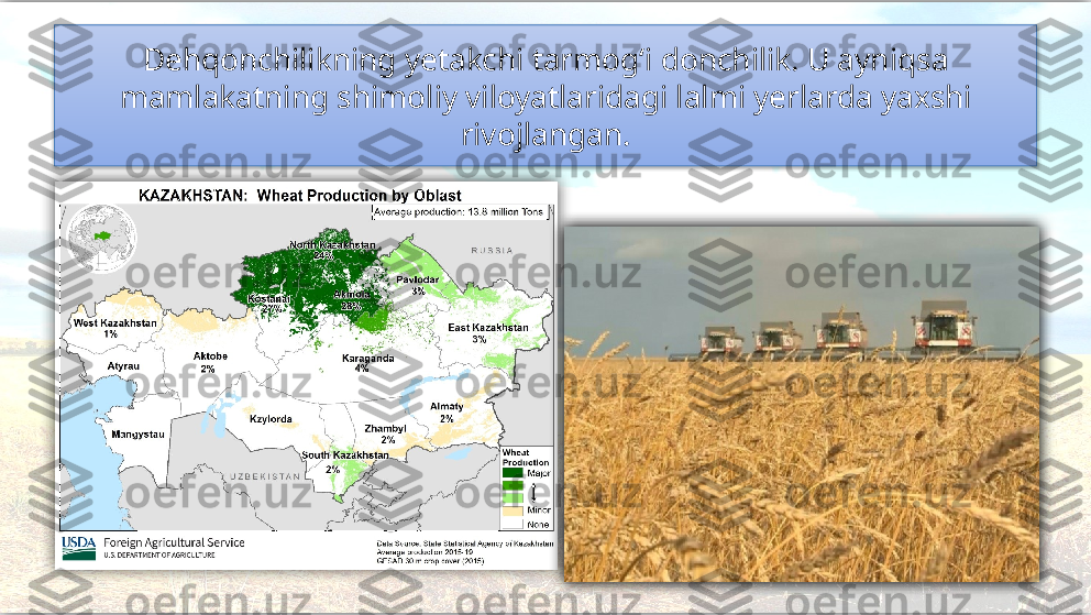 Dehqonchilikning yetakchi tarmog‘i donchilik. U ayniqsa 
mamlakatning shimoliy viloyatlaridagi lalmi yerlarda yaxshi 
rivojlangan.      