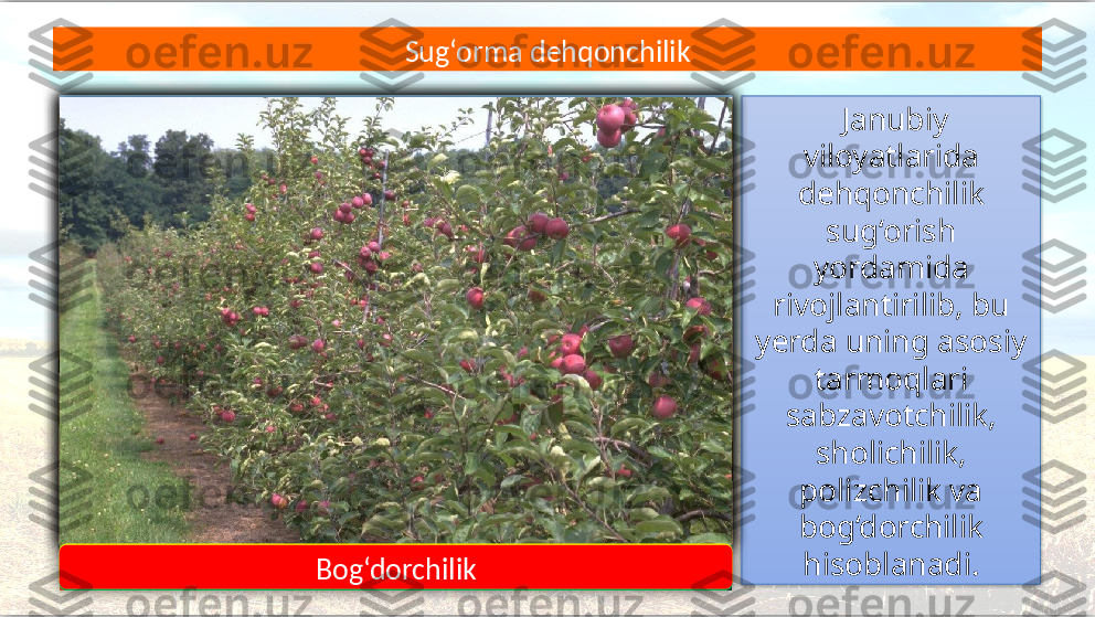   Janubiy 
viloyatlarida 
dehqonchilik 
sug‘orish 
yordamida 
rivojlantirilib, bu 
yerda uning asosiy 
tarmoqlari 
sabzavotchilik,
sholichilik, 
polizchilik va 
bog‘dorchilik 
hisoblanadi.Sug‘orma dehqonchilik
Sabzavotchilik Sholichilik Polizchilik
Bog‘dorchilik       